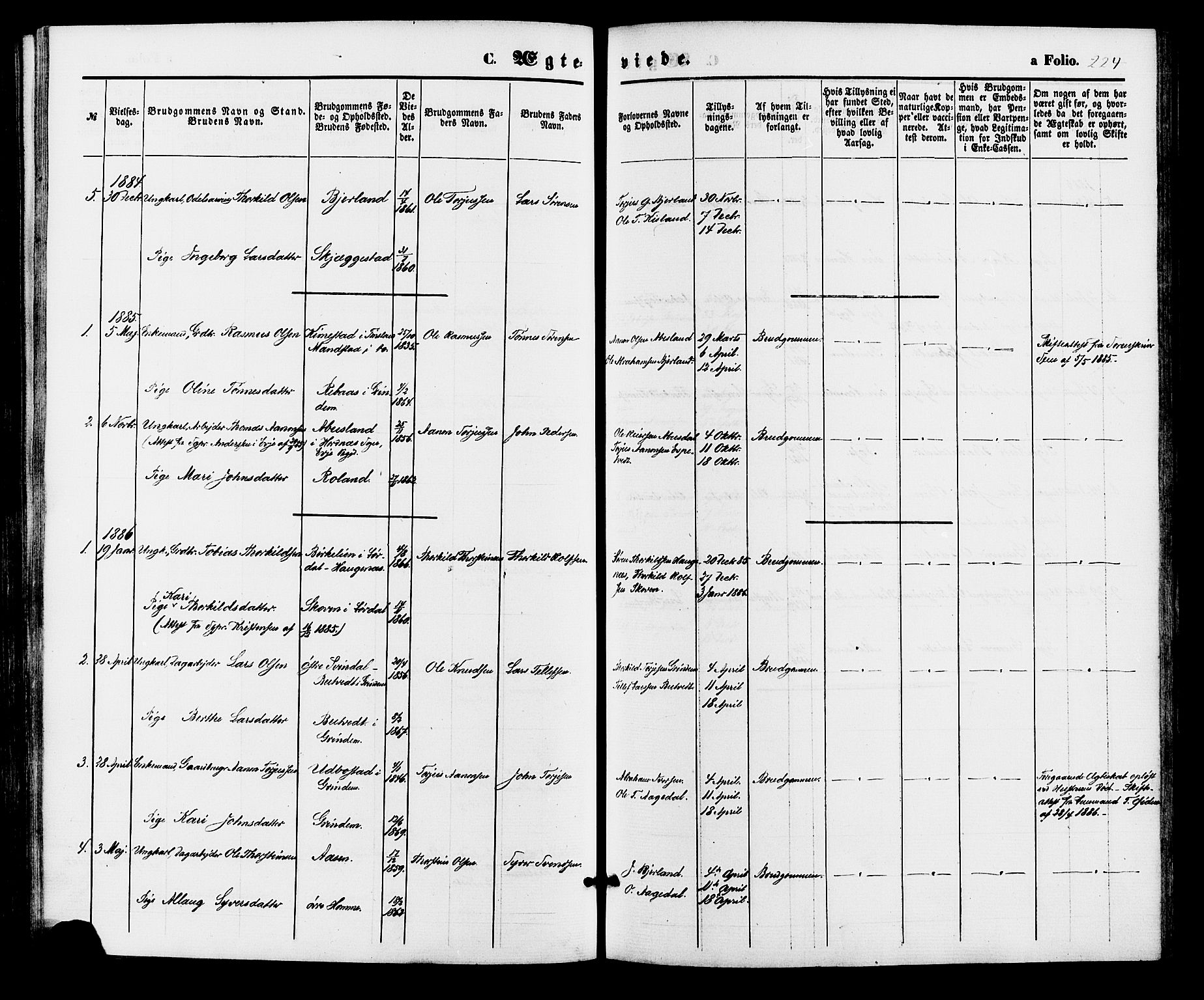 Bjelland sokneprestkontor, SAK/1111-0005/F/Fa/Faa/L0003: Parish register (official) no. A 3, 1867-1887, p. 224