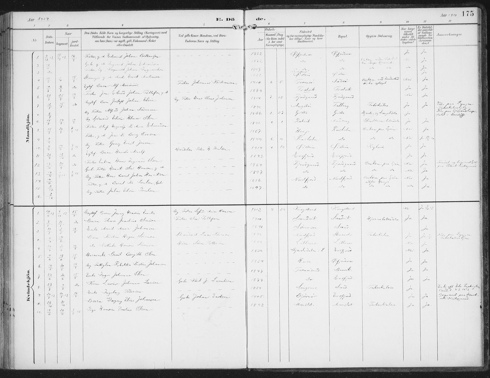 Lenvik sokneprestembete, AV/SATØ-S-1310/H/Ha/Haa/L0015kirke: Parish register (official) no. 15, 1896-1915, p. 175