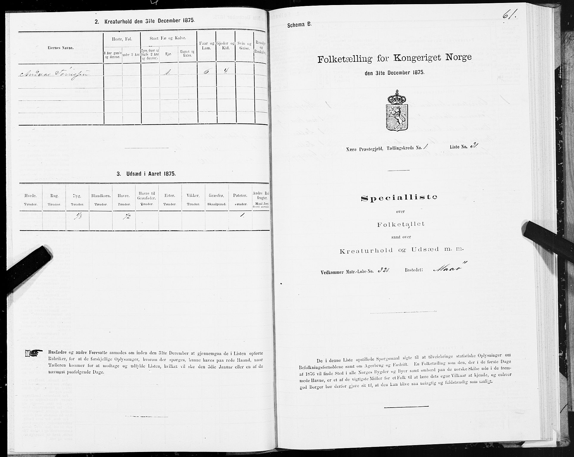 SAT, 1875 census for 1751P Nærøy, 1875, p. 1061