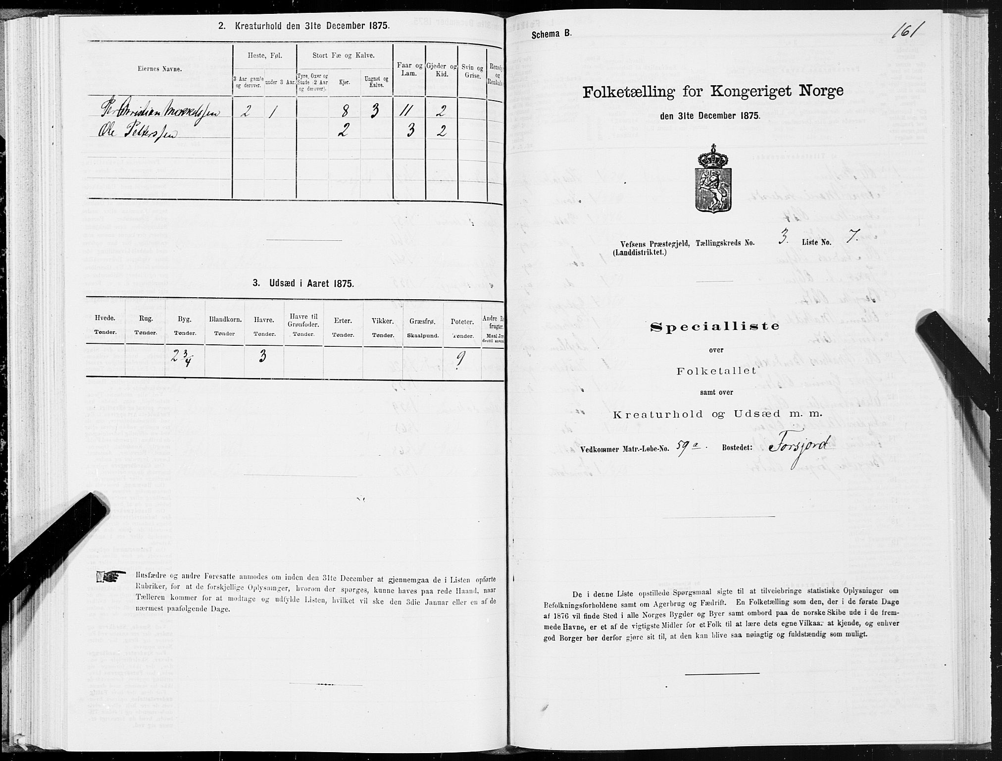 SAT, 1875 census for 1824L Vefsn/Vefsn, 1875, p. 1161