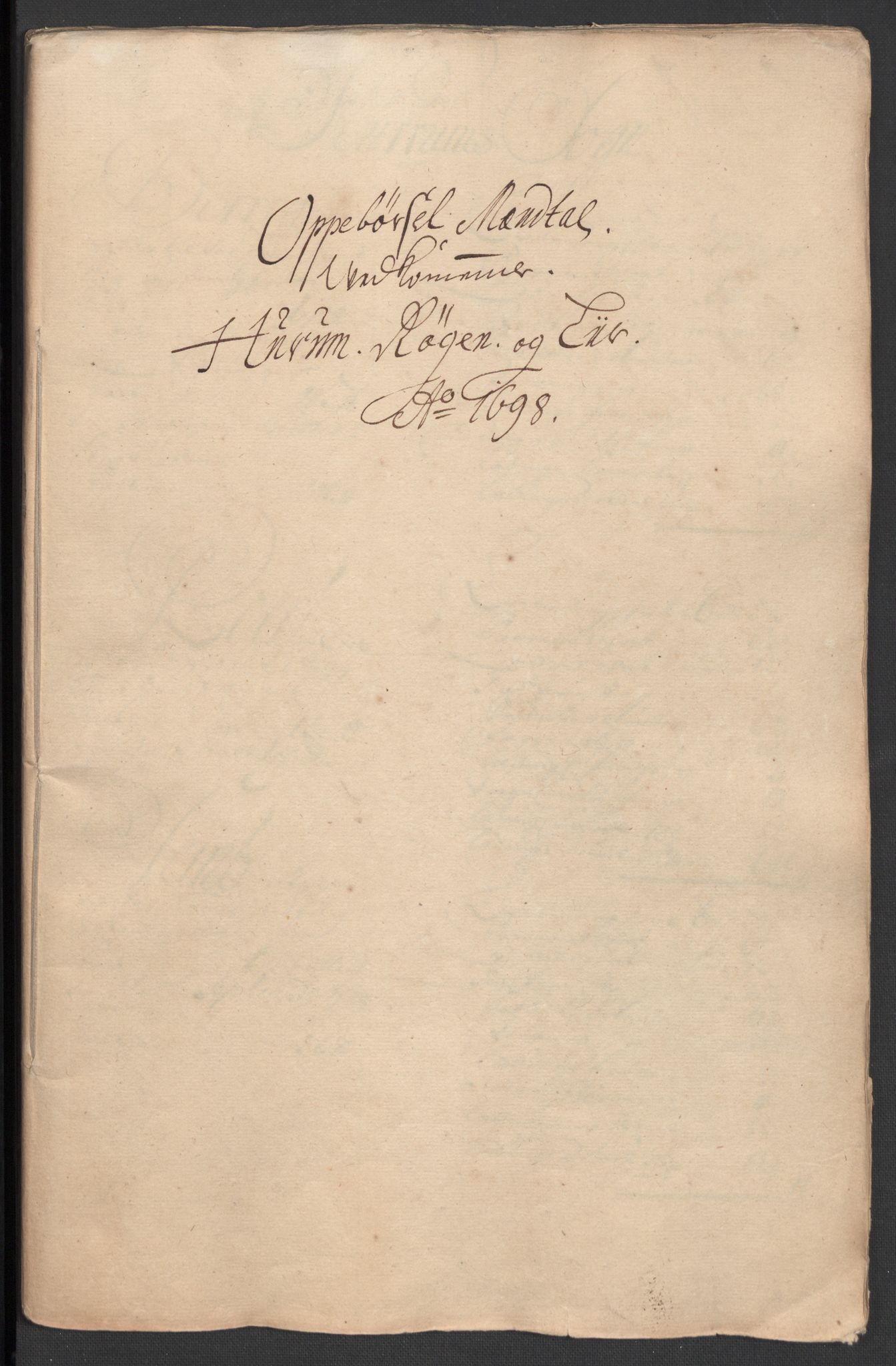 Rentekammeret inntil 1814, Reviderte regnskaper, Fogderegnskap, RA/EA-4092/R30/L1696: Fogderegnskap Hurum, Røyken, Eiker og Lier, 1698-1699, p. 34