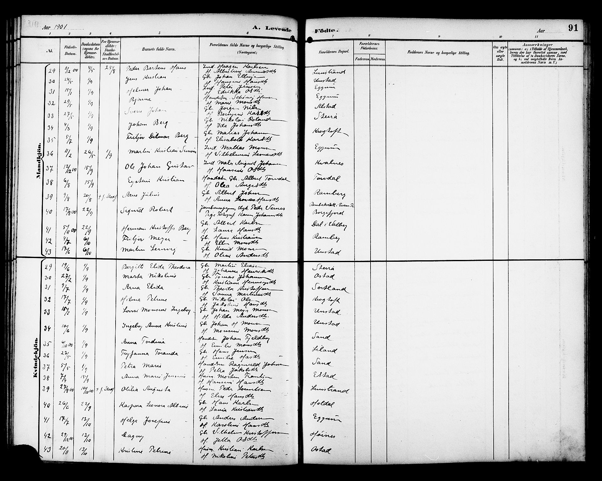 Ministerialprotokoller, klokkerbøker og fødselsregistre - Nordland, AV/SAT-A-1459/880/L1141: Parish register (copy) no. 880C03, 1893-1928, p. 91