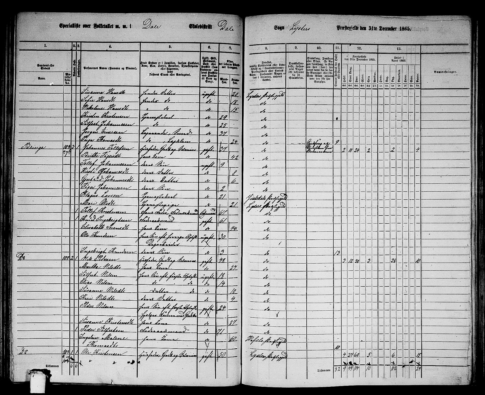 RA, 1865 census for Luster, 1865, p. 91