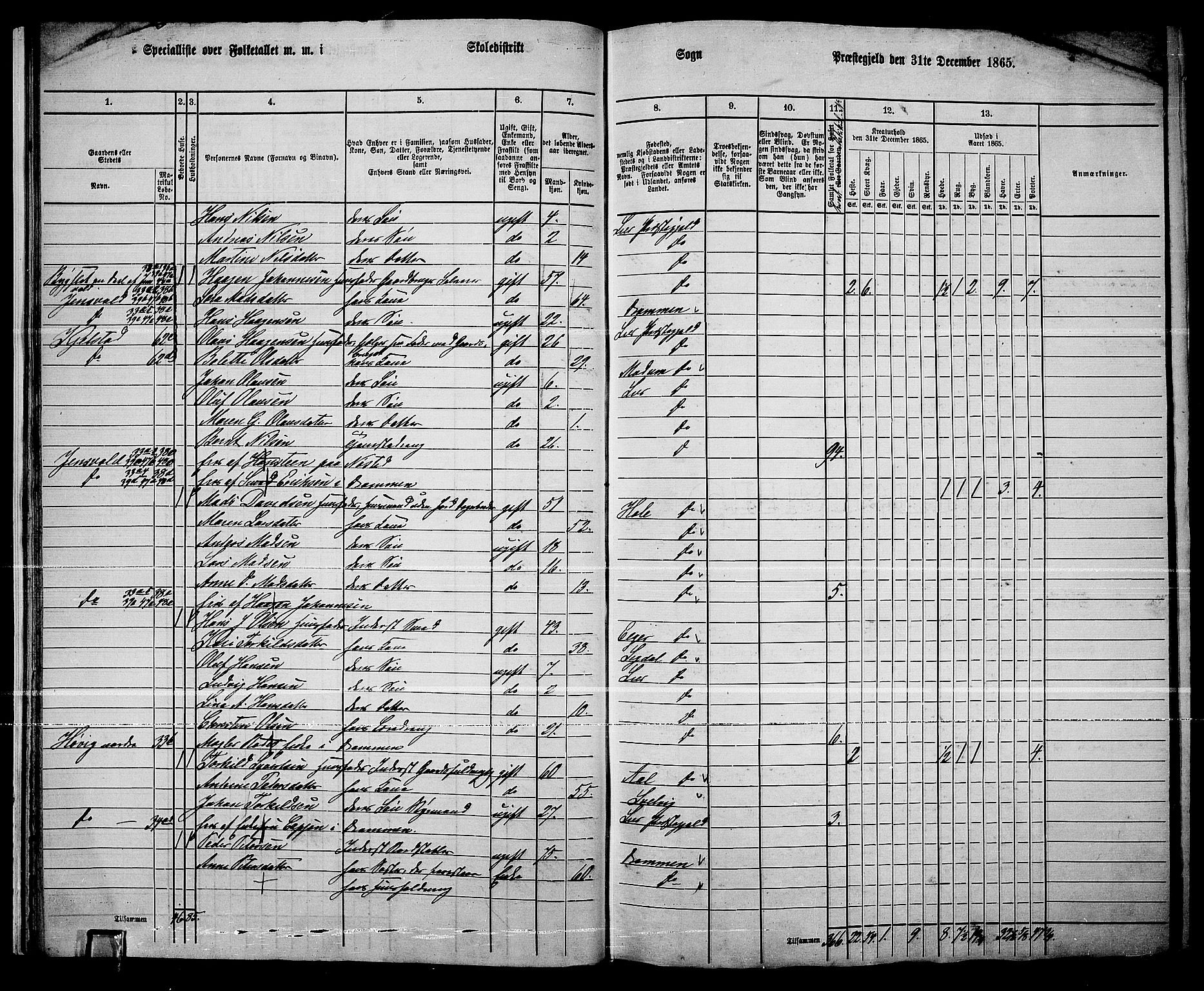 RA, 1865 census for Lier, 1865, p. 27