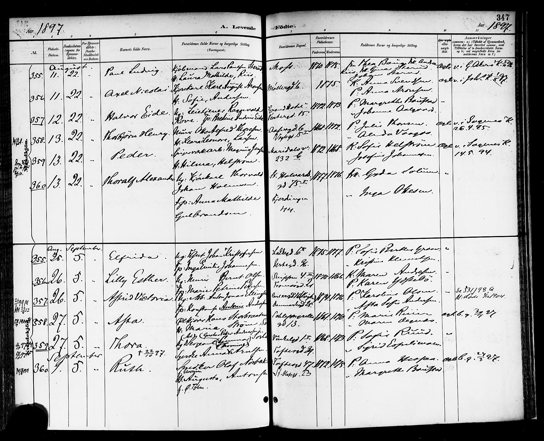 Rikshospitalet prestekontor Kirkebøker, SAO/A-10309b/F/L0009: Parish register (official) no. 9, 1894-1897, p. 347