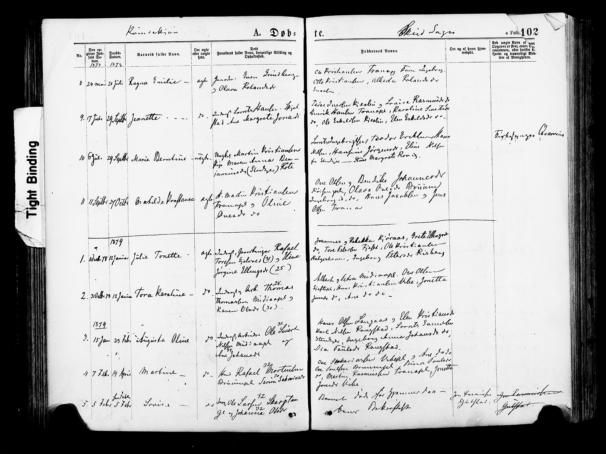 Ministerialprotokoller, klokkerbøker og fødselsregistre - Nord-Trøndelag, SAT/A-1458/735/L0348: Parish register (official) no. 735A09 /2, 1873-1883, p. 102