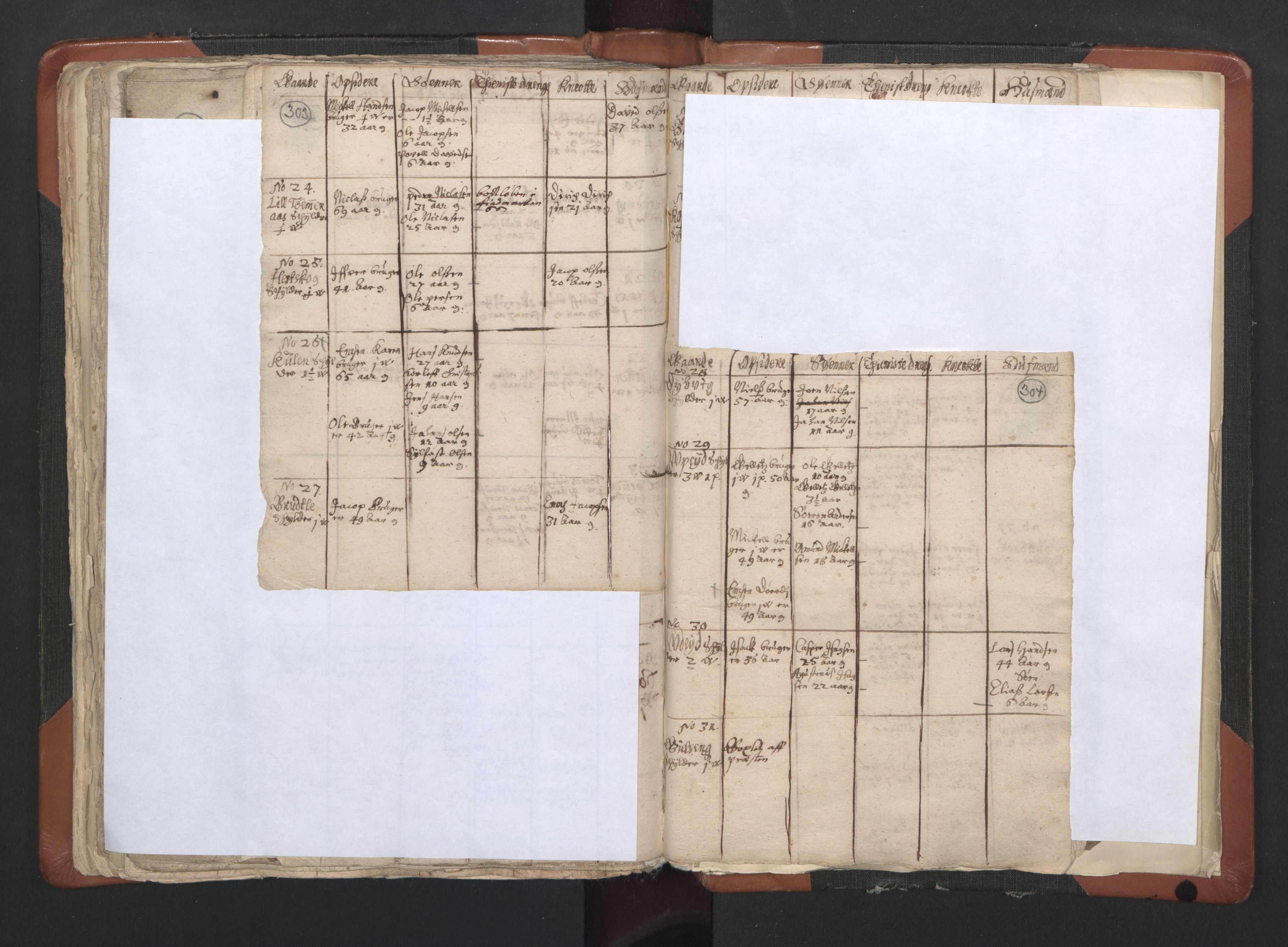 RA, Vicar's Census 1664-1666, no. 35: Helgeland deanery and Salten deanery, 1664-1666, p. 303-304