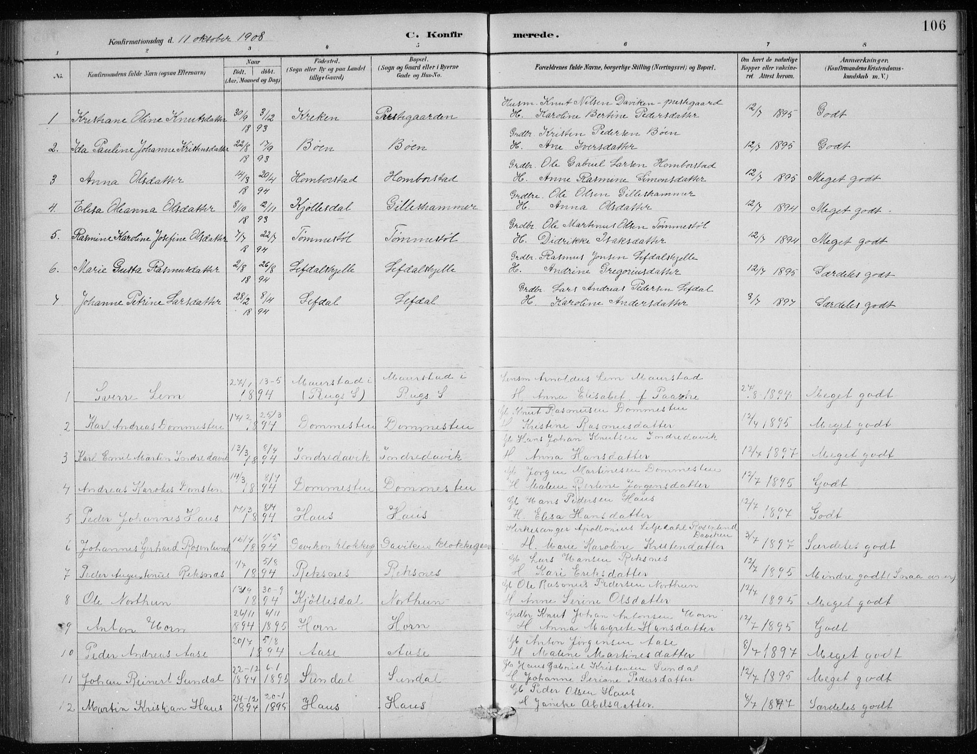 Davik sokneprestembete, AV/SAB-A-79701/H/Hab/Haba/L0002: Parish register (copy) no. A 2, 1890-1911, p. 106