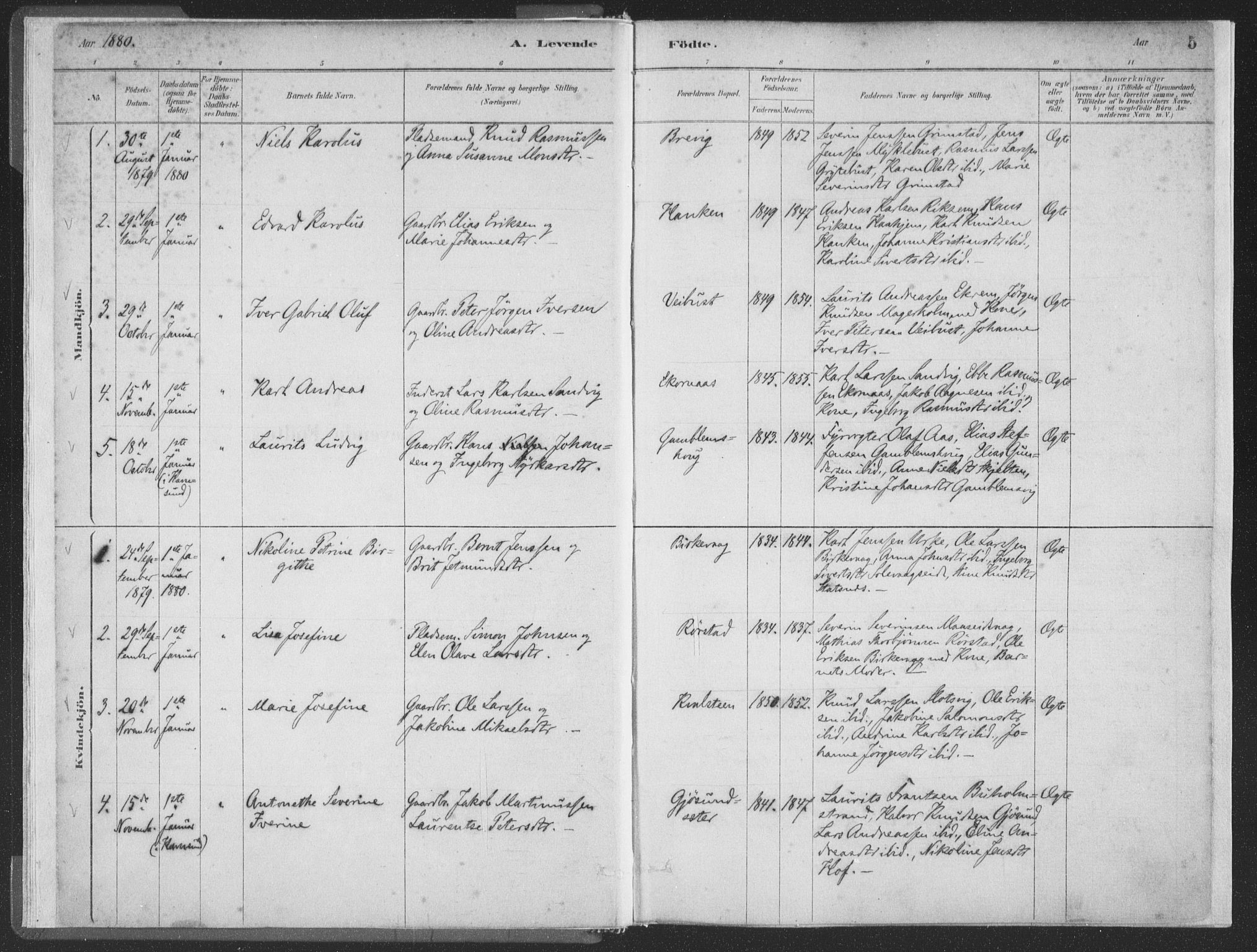 Ministerialprotokoller, klokkerbøker og fødselsregistre - Møre og Romsdal, AV/SAT-A-1454/528/L0401: Parish register (official) no. 528A12I, 1880-1920, p. 5