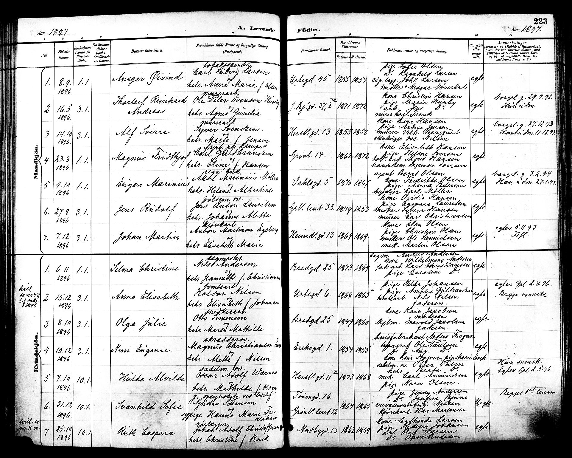 Grønland prestekontor Kirkebøker, SAO/A-10848/F/Fa/L0012: Parish register (official) no. 12, 1893-1900, p. 223