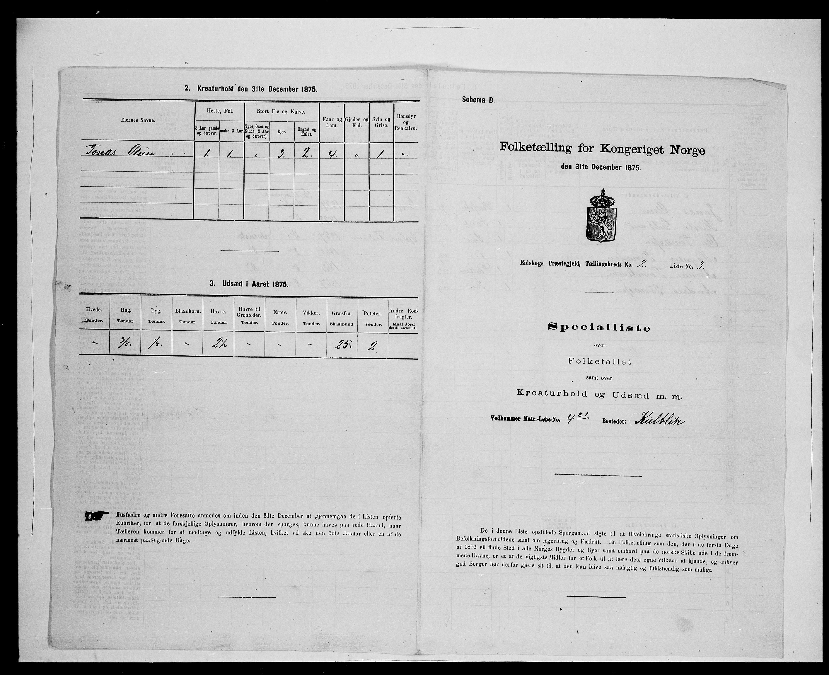 SAH, 1875 census for 0420P Eidskog, 1875, p. 267