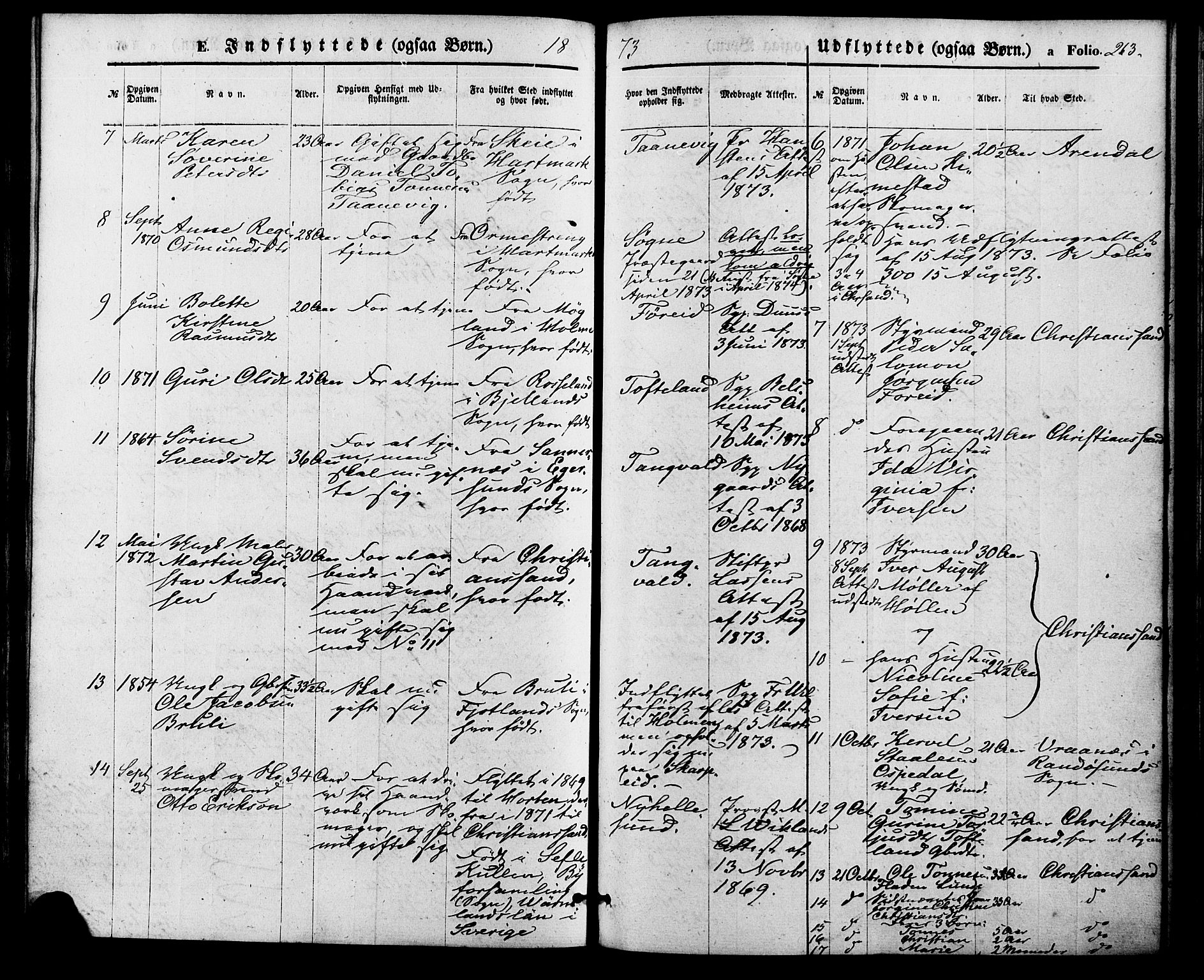 Søgne sokneprestkontor, AV/SAK-1111-0037/F/Fa/Fab/L0011: Parish register (official) no. A 11, 1869-1879, p. 263