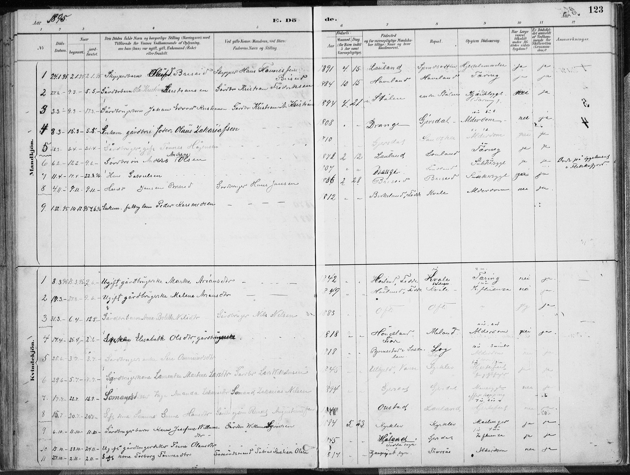 Herad sokneprestkontor, SAK/1111-0018/F/Fa/Faa/L0006: Parish register (official) no. A 6, 1887-1907, p. 123