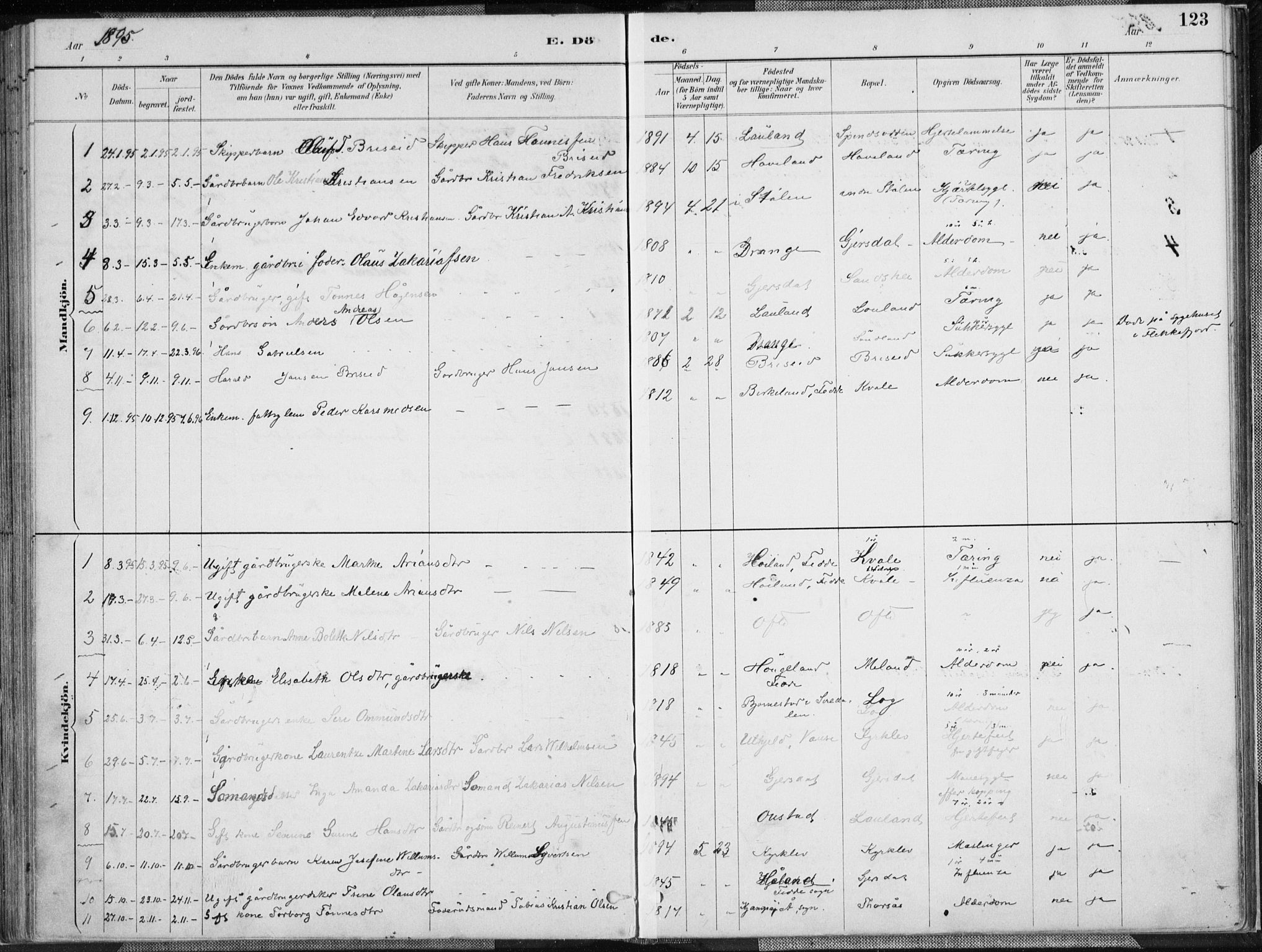 Herad sokneprestkontor, AV/SAK-1111-0018/F/Fa/Faa/L0006: Parish register (official) no. A 6, 1887-1907, p. 123