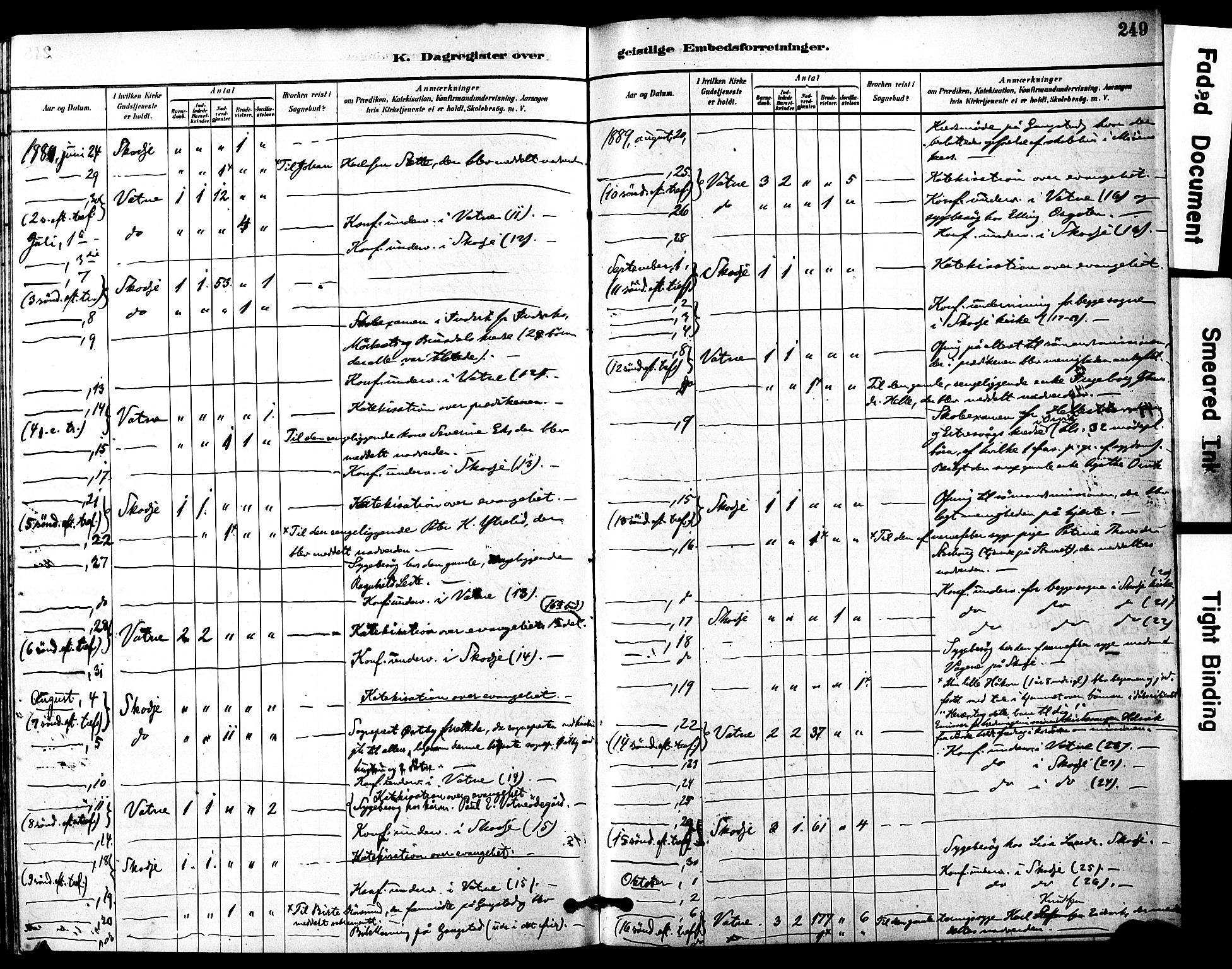 Ministerialprotokoller, klokkerbøker og fødselsregistre - Møre og Romsdal, AV/SAT-A-1454/525/L0374: Parish register (official) no. 525A04, 1880-1899, p. 249