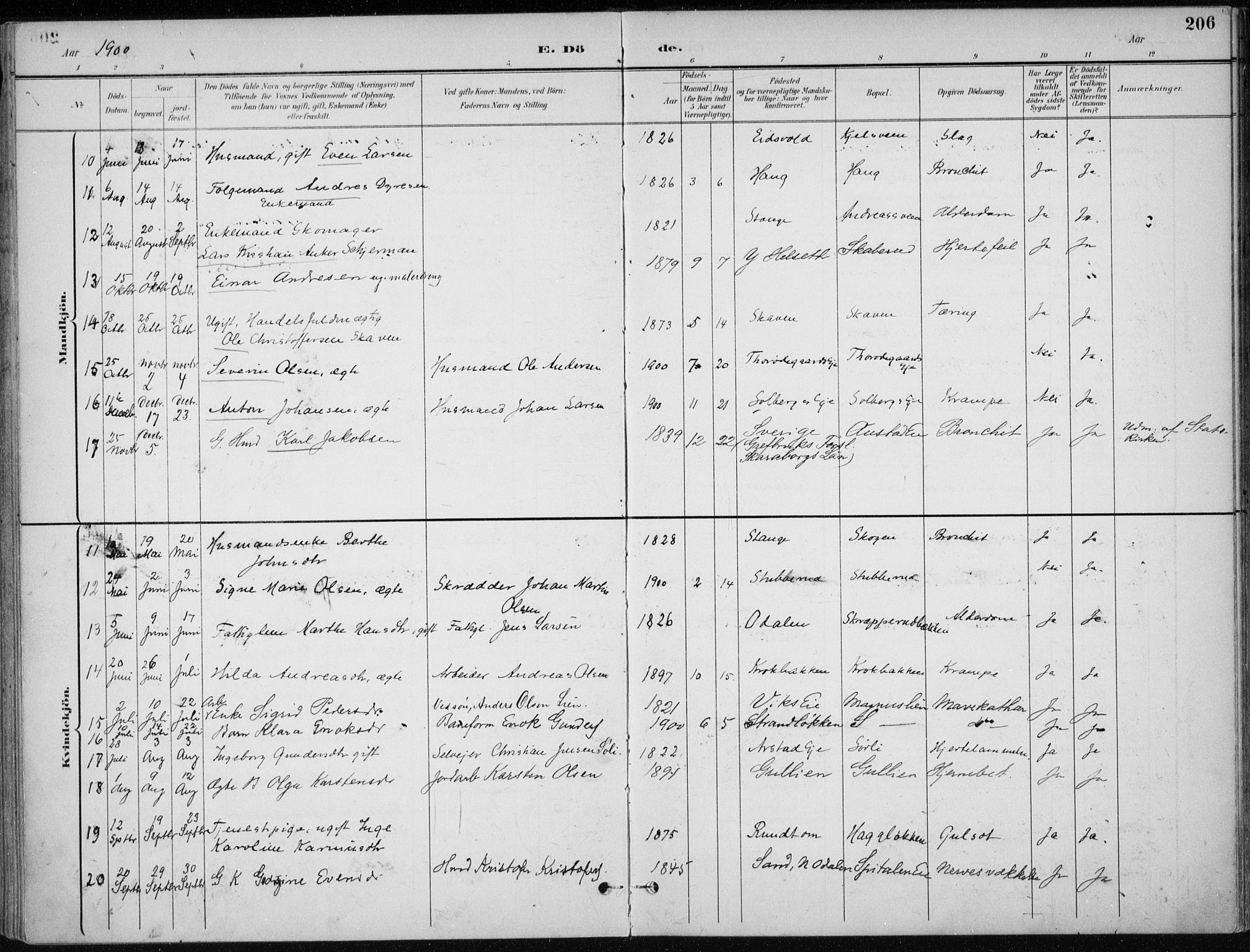 Stange prestekontor, SAH/PREST-002/K/L0023: Parish register (official) no. 23, 1897-1920, p. 206