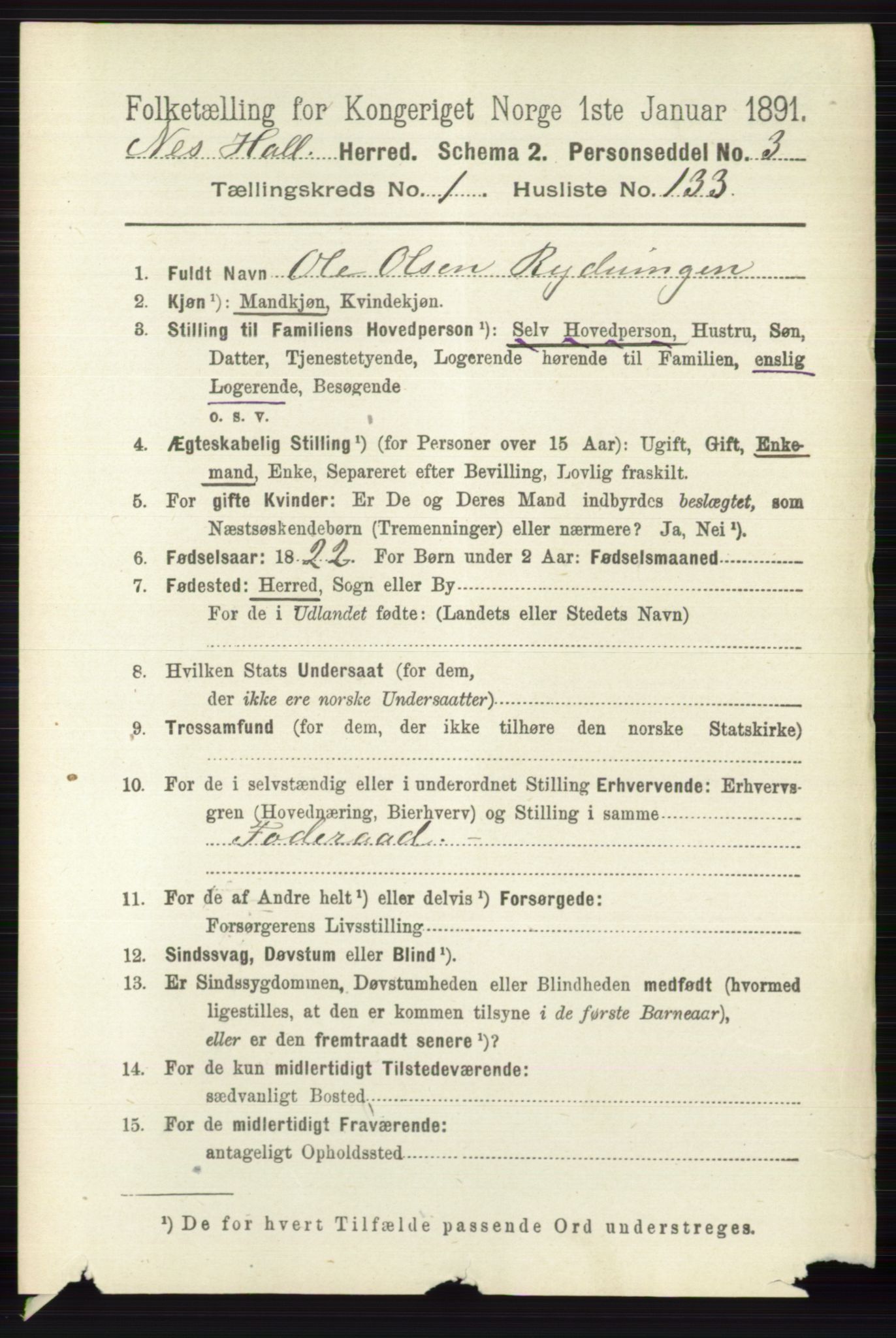 RA, 1891 census for 0616 Nes, 1891, p. 904