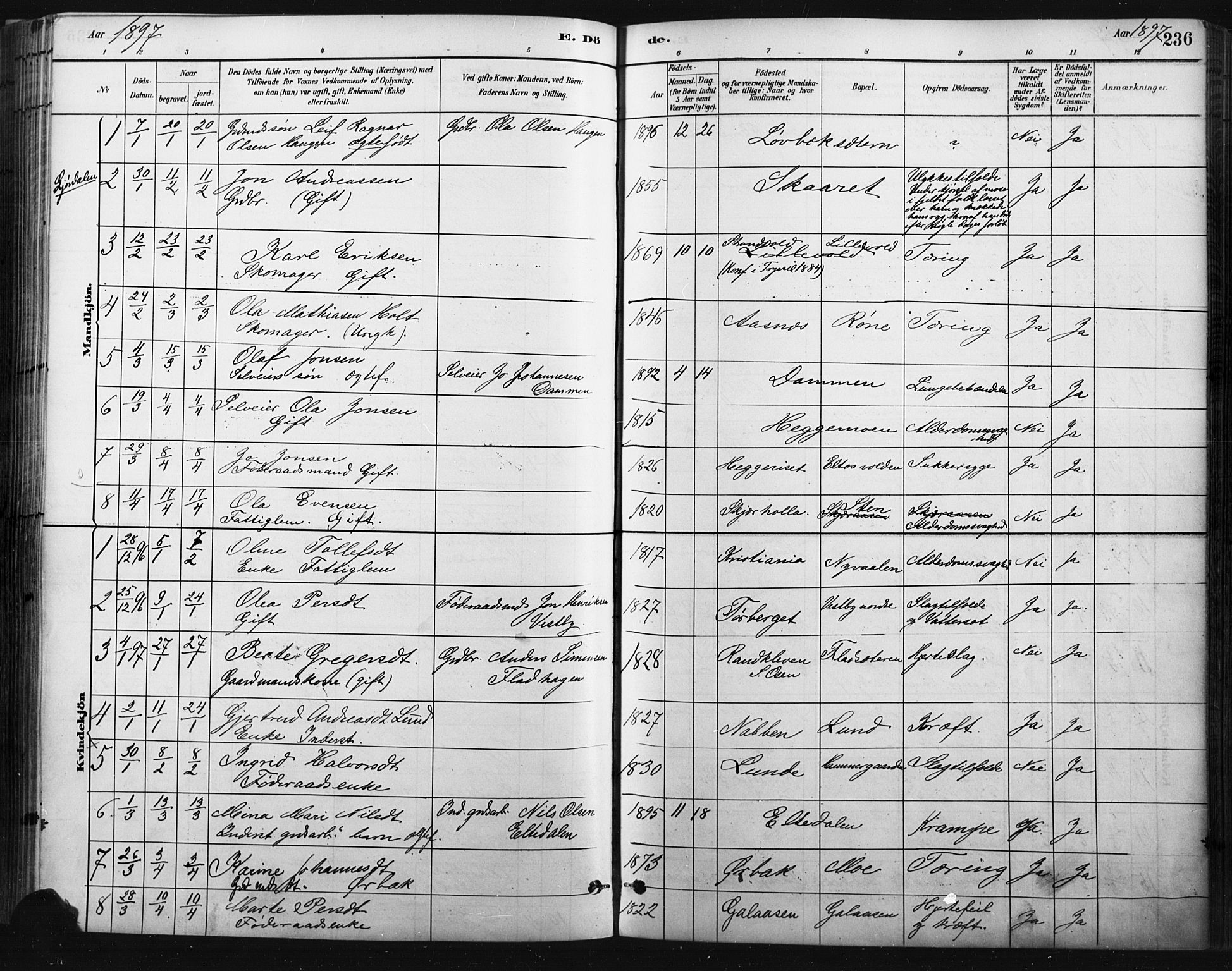 Trysil prestekontor, AV/SAH-PREST-046/H/Ha/Haa/L0009: Parish register (official) no. 9, 1881-1897, p. 236