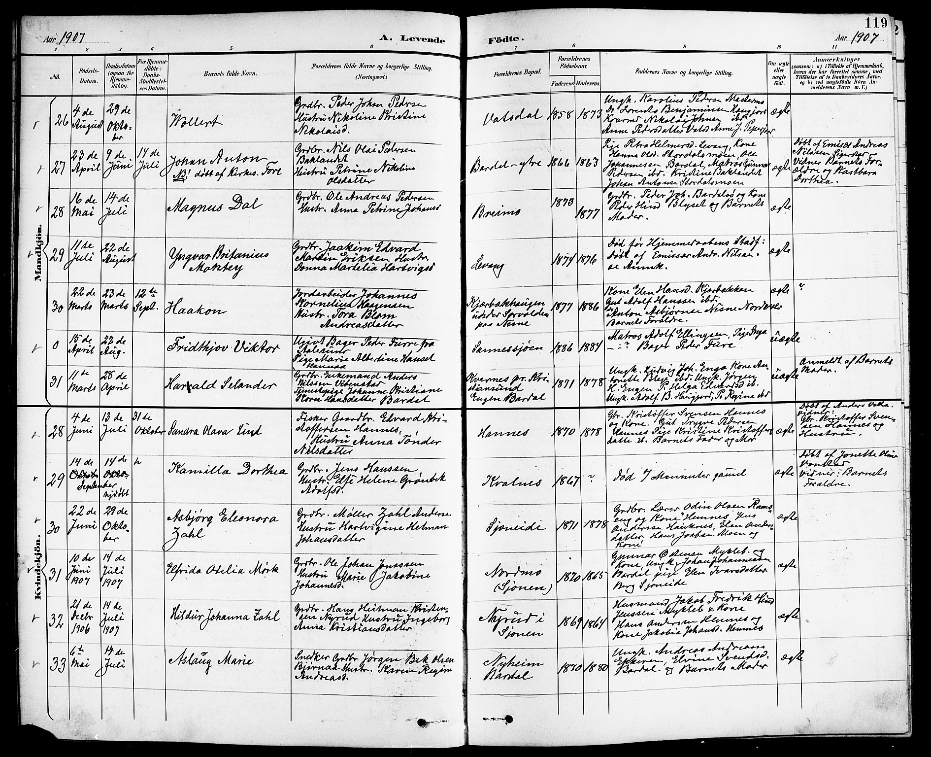 Ministerialprotokoller, klokkerbøker og fødselsregistre - Nordland, AV/SAT-A-1459/838/L0559: Parish register (copy) no. 838C06, 1893-1910, p. 119