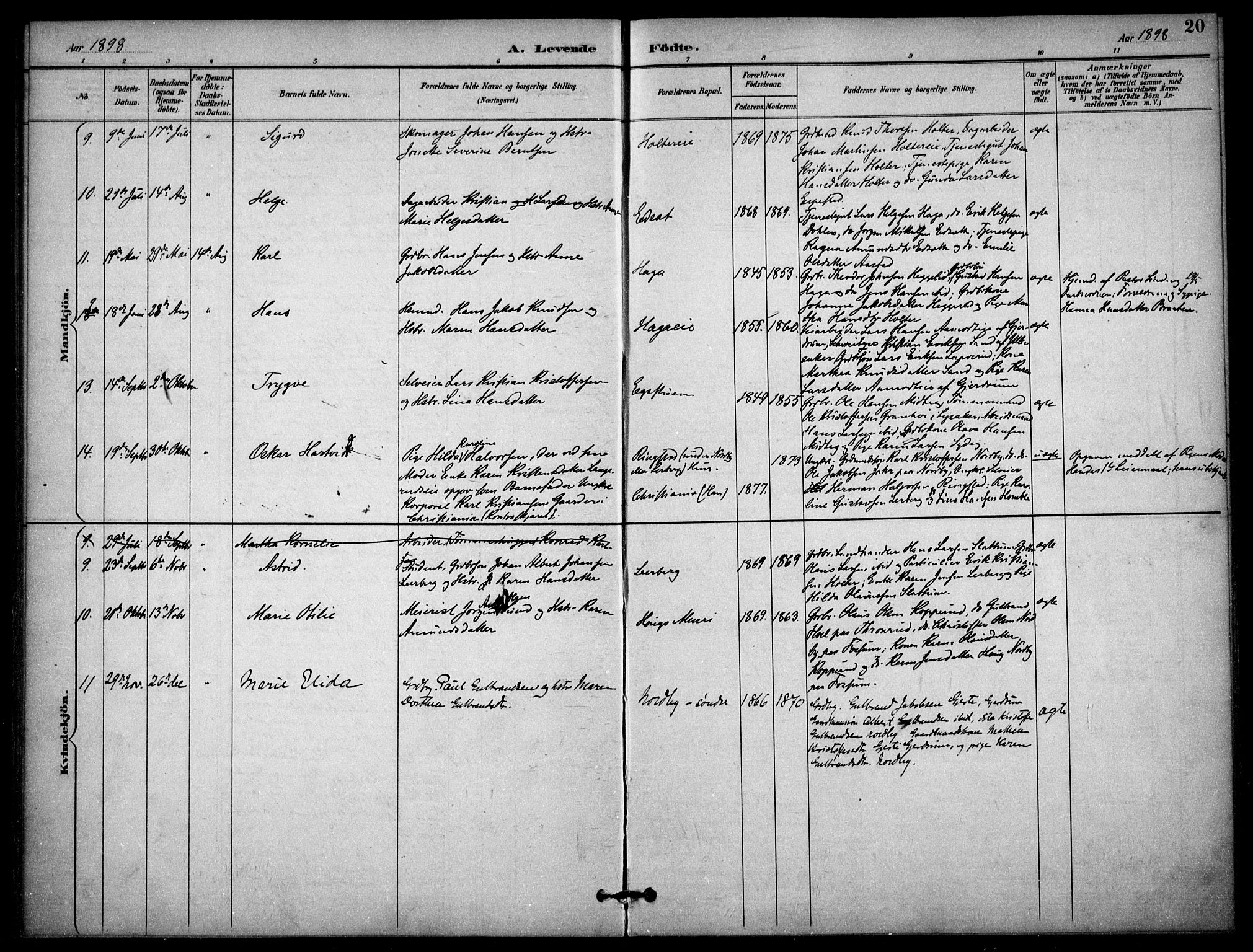 Nannestad prestekontor Kirkebøker, AV/SAO-A-10414a/F/Fb/L0002: Parish register (official) no. II 2, 1891-1909, p. 20