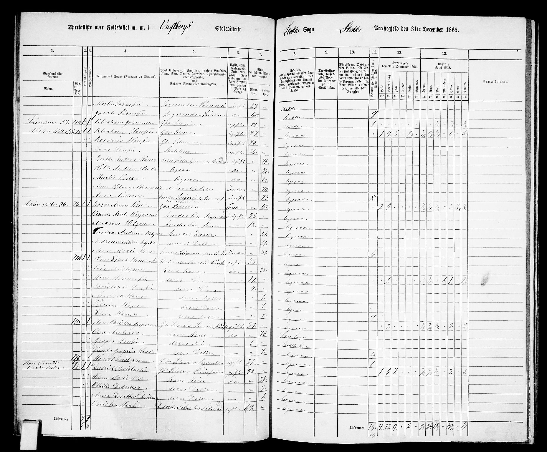 RA, 1865 census for Stokke, 1865, p. 64