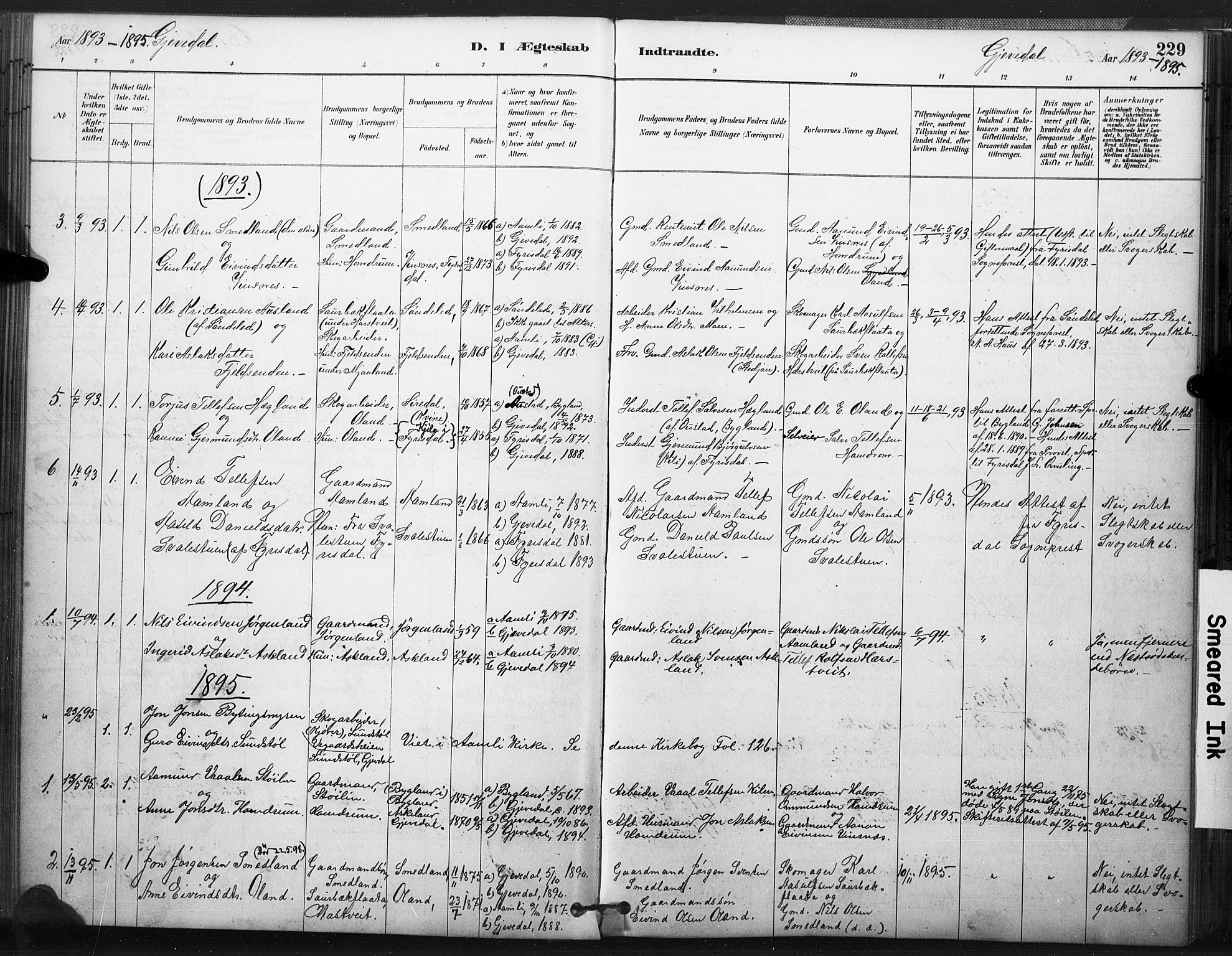 Åmli sokneprestkontor, SAK/1111-0050/F/Fa/Fac/L0010: Parish register (official) no. A 10 /2, 1885-1899, p. 229