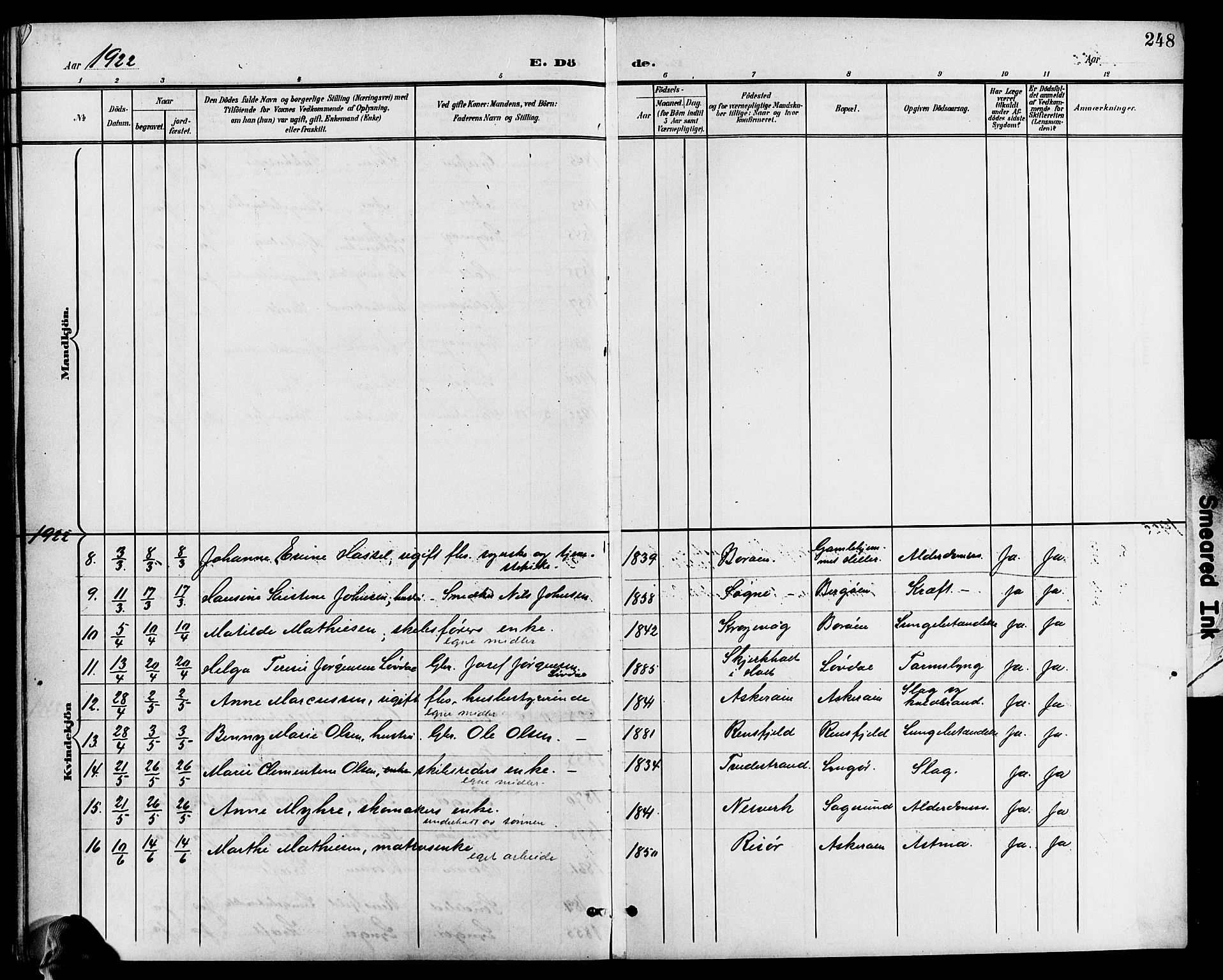 Dypvåg sokneprestkontor, AV/SAK-1111-0007/F/Fb/Fba/L0014: Parish register (copy) no. B 14, 1901-1922, p. 248