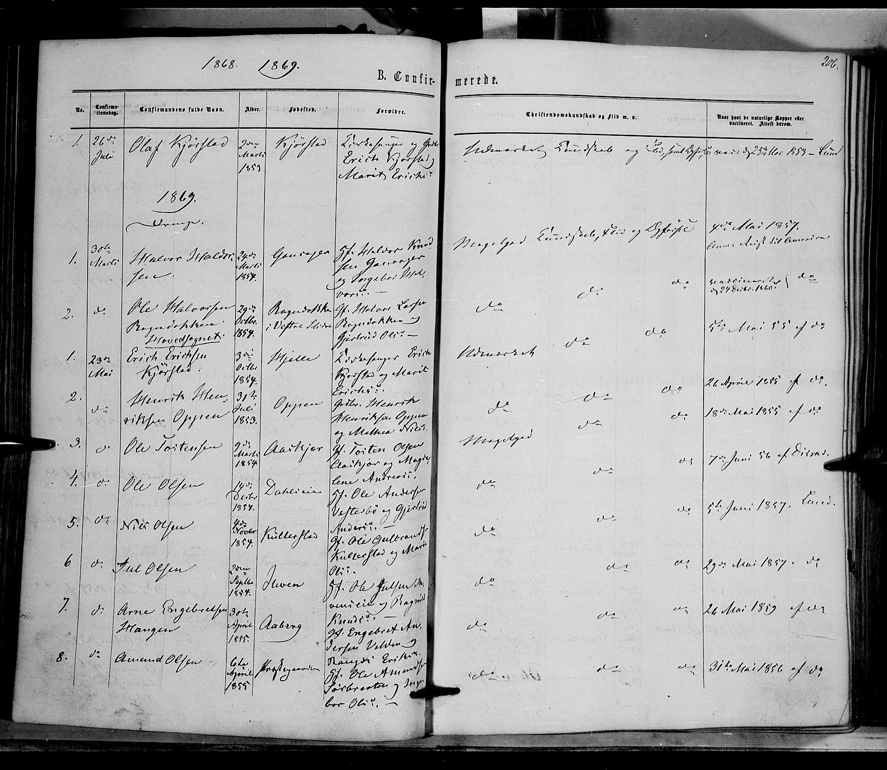 Nord-Aurdal prestekontor, SAH/PREST-132/H/Ha/Haa/L0008: Parish register (official) no. 8, 1863-1875, p. 206