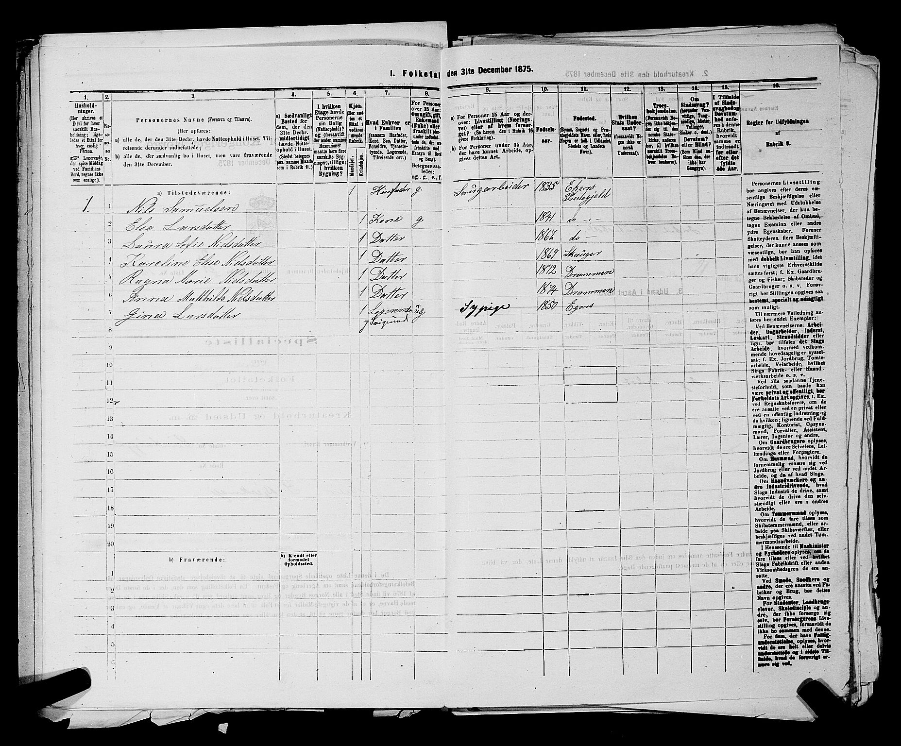 SAKO, 1875 census for 0602 Drammen, 1875, p. 2120