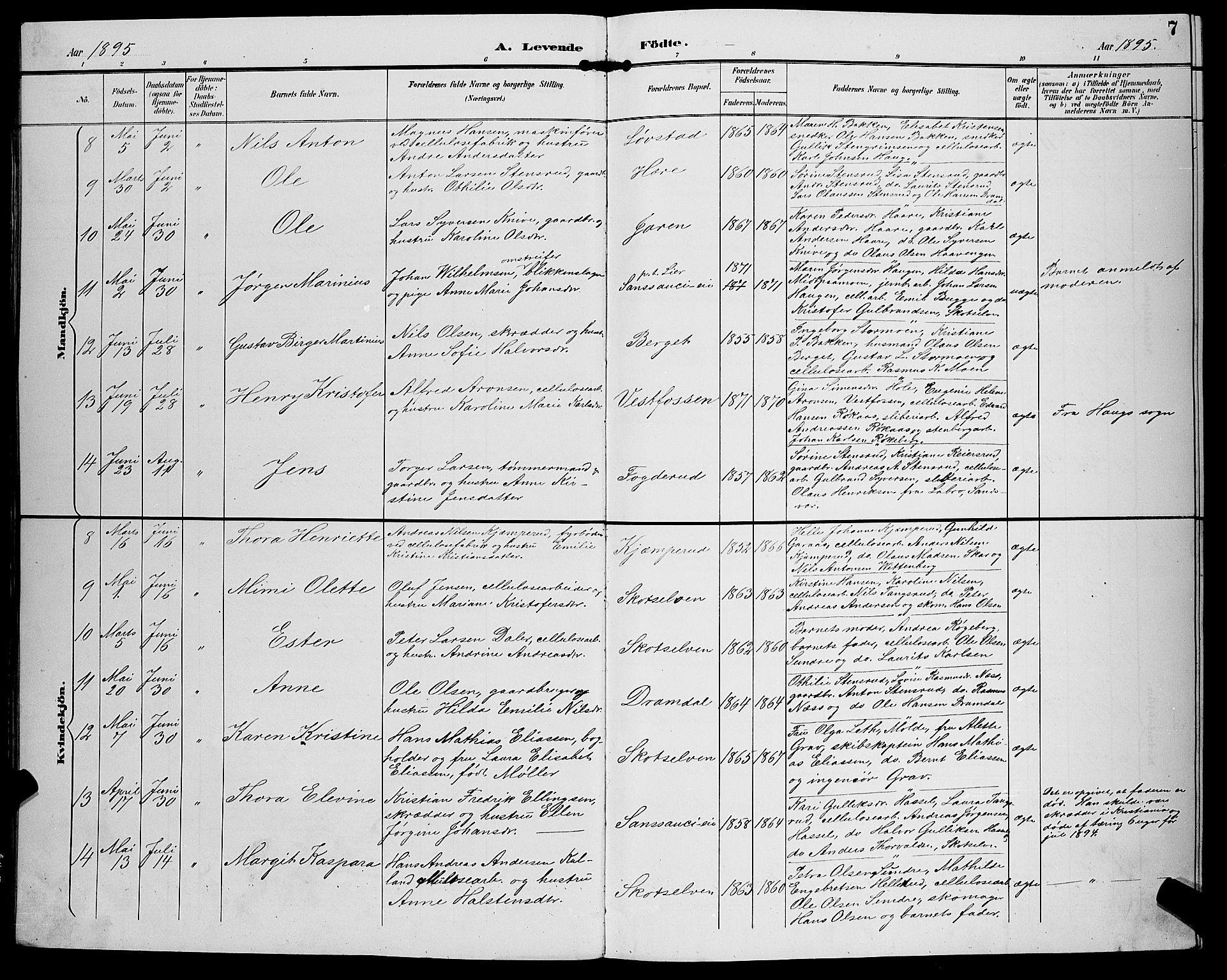 Eiker kirkebøker, AV/SAKO-A-4/G/Gb/L0004: Parish register (copy) no. II 4, 1894-1900, p. 7