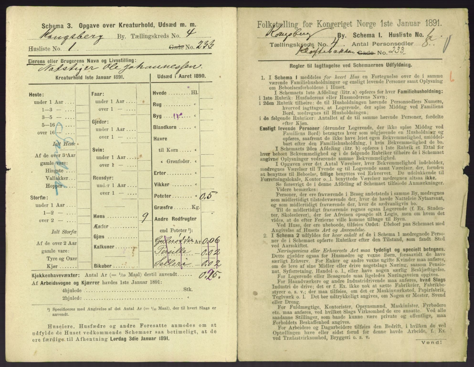 RA, 1891 census for 0604 Kongsberg, 1891, p. 553