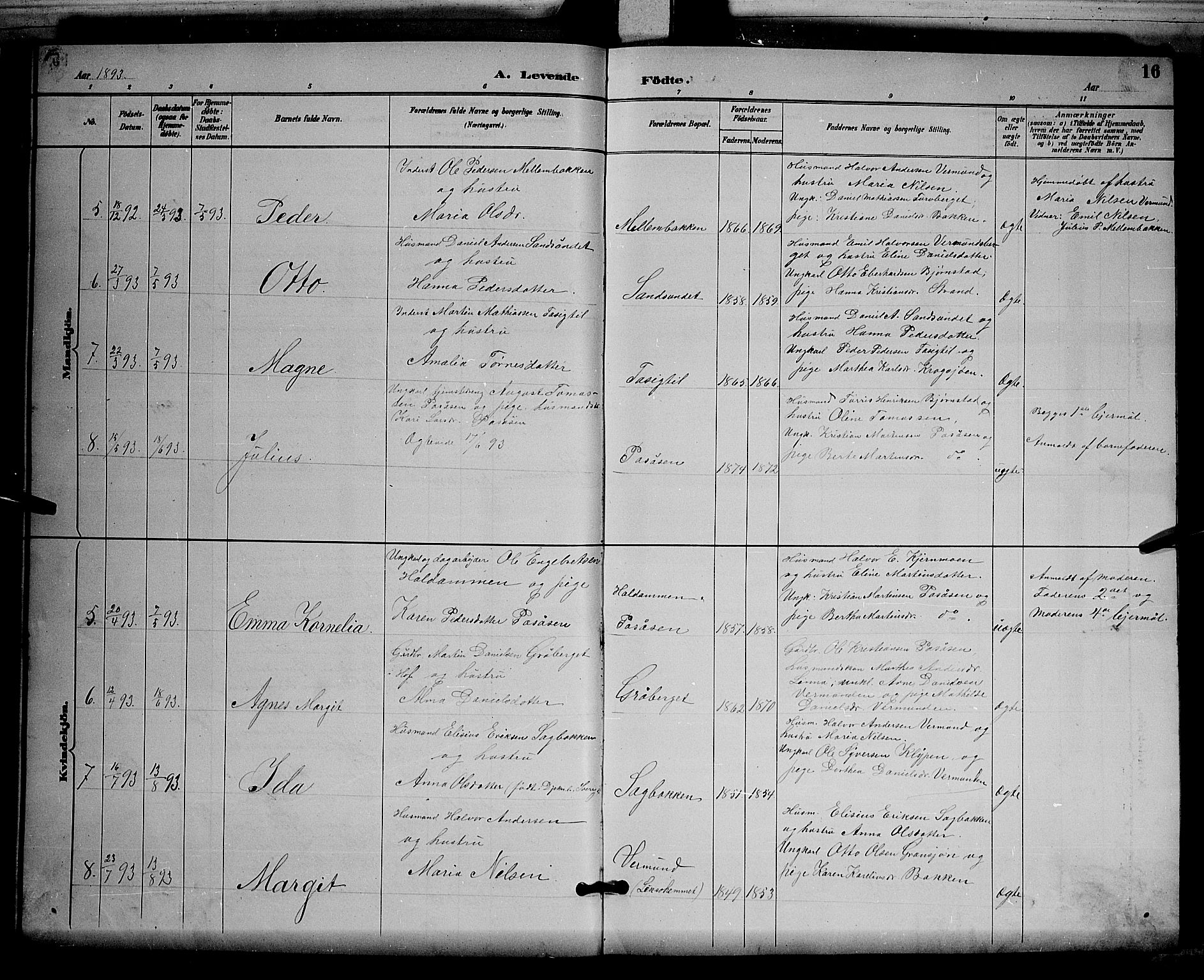 Åsnes prestekontor, AV/SAH-PREST-042/H/Ha/Hab/L0003: Parish register (copy) no. 3, 1890-1902, p. 16