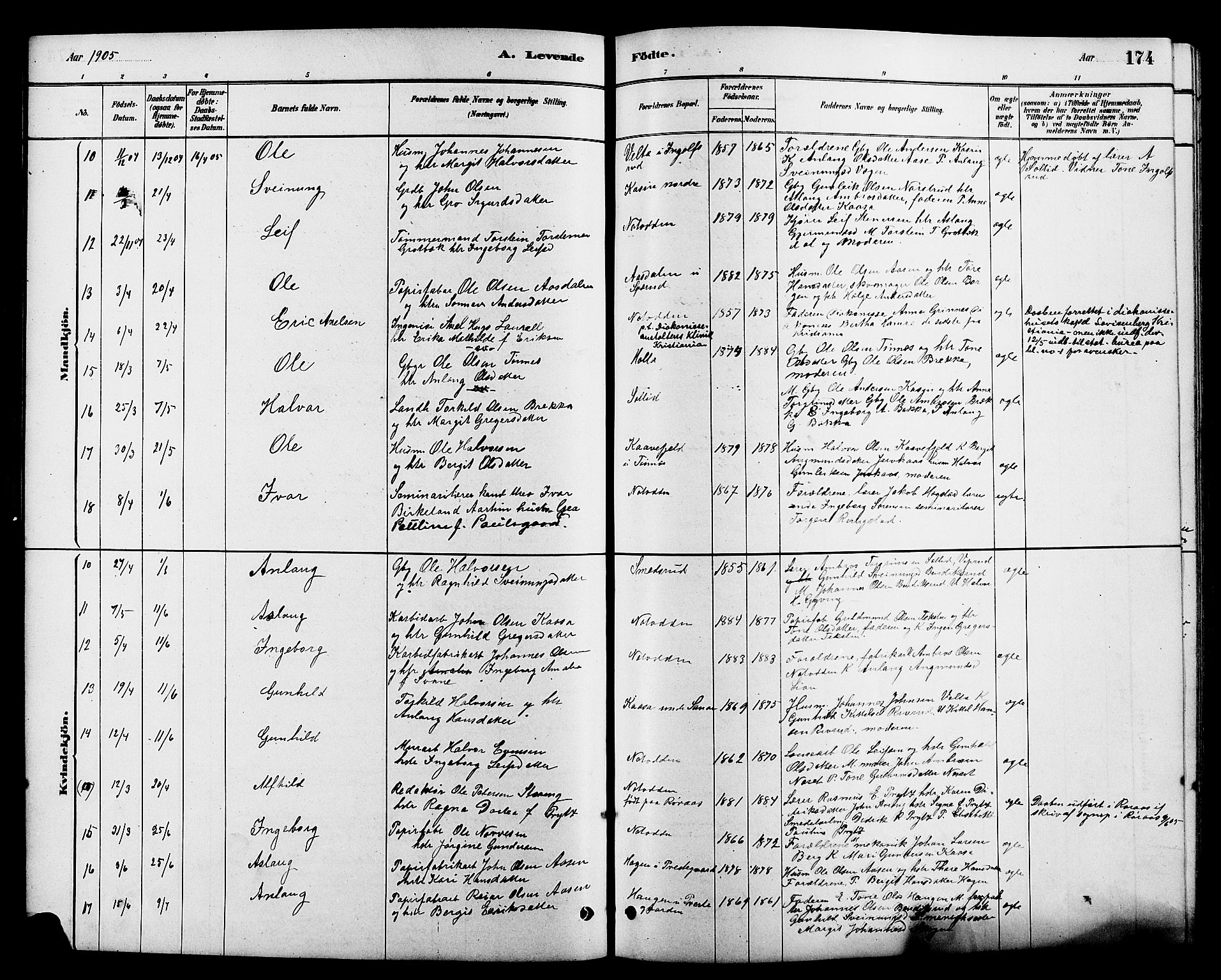 Heddal kirkebøker, SAKO/A-268/G/Ga/L0002: Parish register (copy) no. I 2, 1879-1908, p. 174