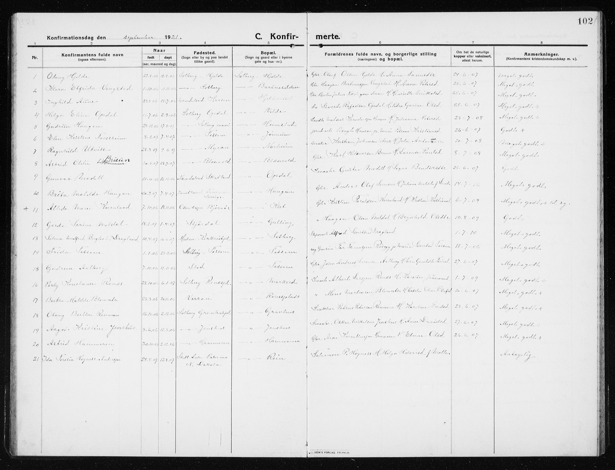Ministerialprotokoller, klokkerbøker og fødselsregistre - Nord-Trøndelag, SAT/A-1458/741/L0402: Parish register (copy) no. 741C03, 1911-1926, p. 102