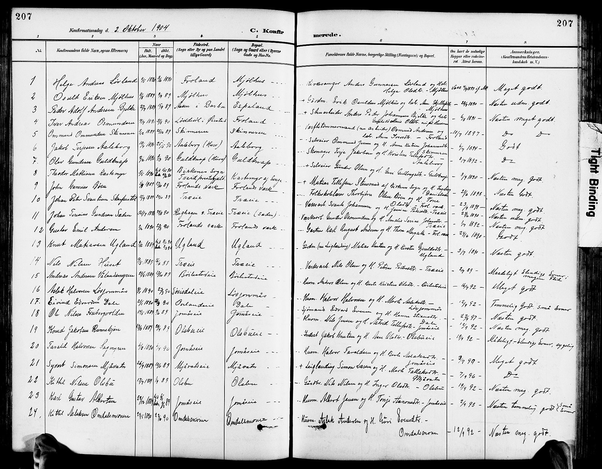 Froland sokneprestkontor, SAK/1111-0013/F/Fb/L0010: Parish register (copy) no. B 10, 1893-1920, p. 207