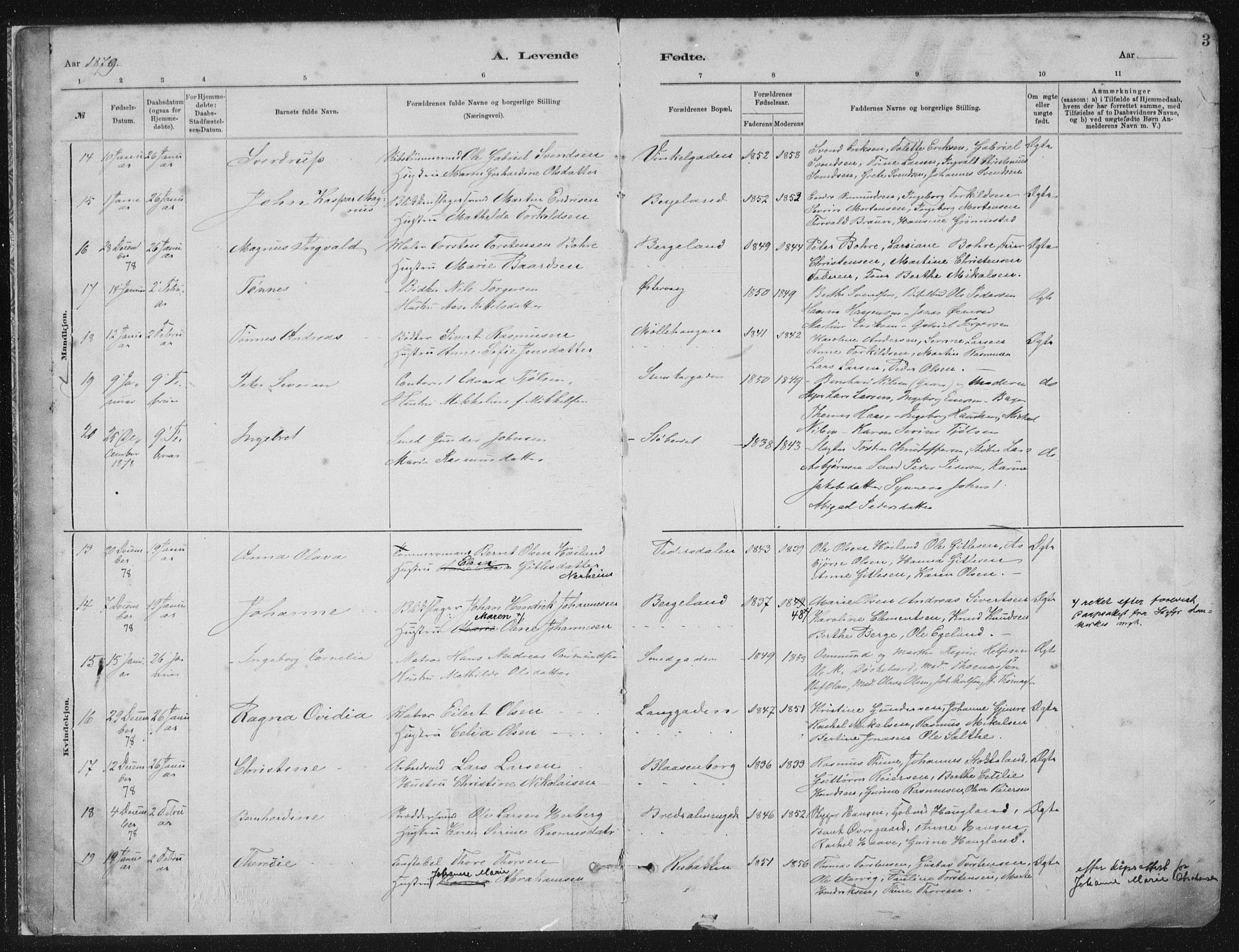 St. Petri sokneprestkontor, AV/SAST-A-101813/001/30/30BA/L0015: Parish register (official) no. A 15, 1879-1888, p. 3