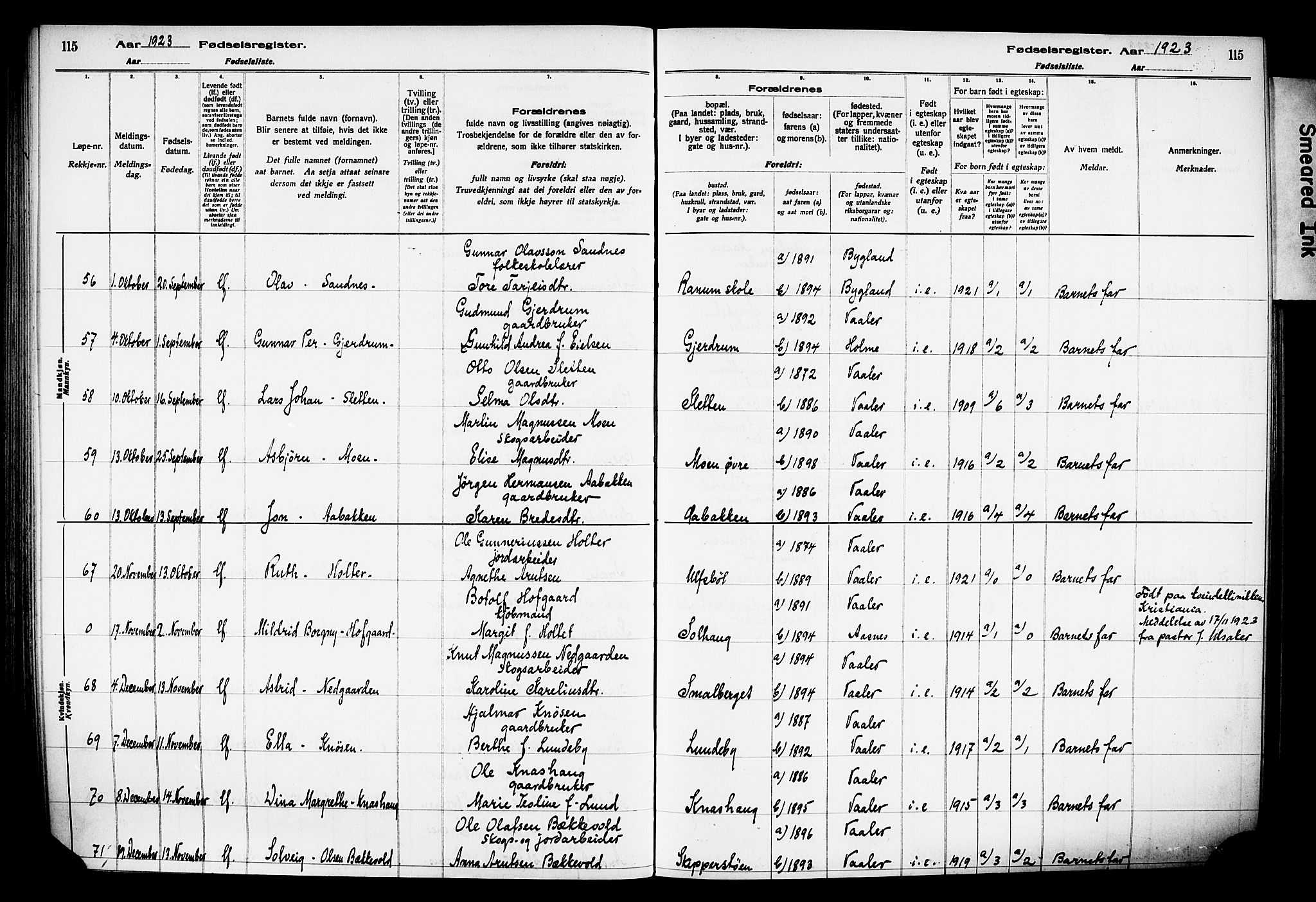 Våler prestekontor, Hedmark, AV/SAH-PREST-040/I/Id/L0001: Birth register no. 1, 1916-1930, p. 115