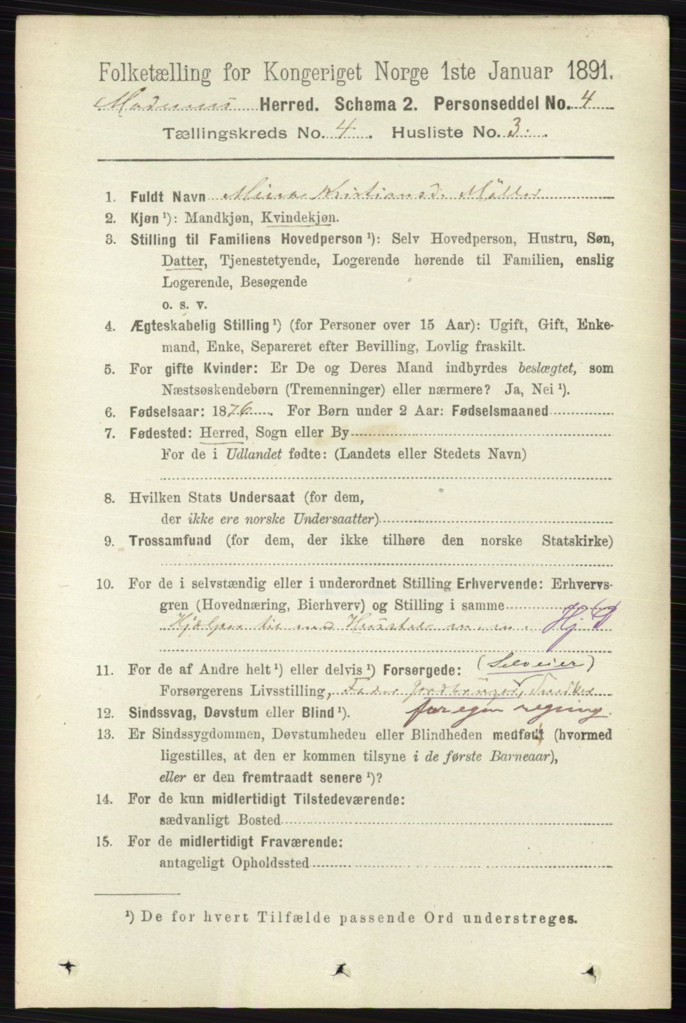 RA, 1891 census for 0623 Modum, 1891, p. 1004