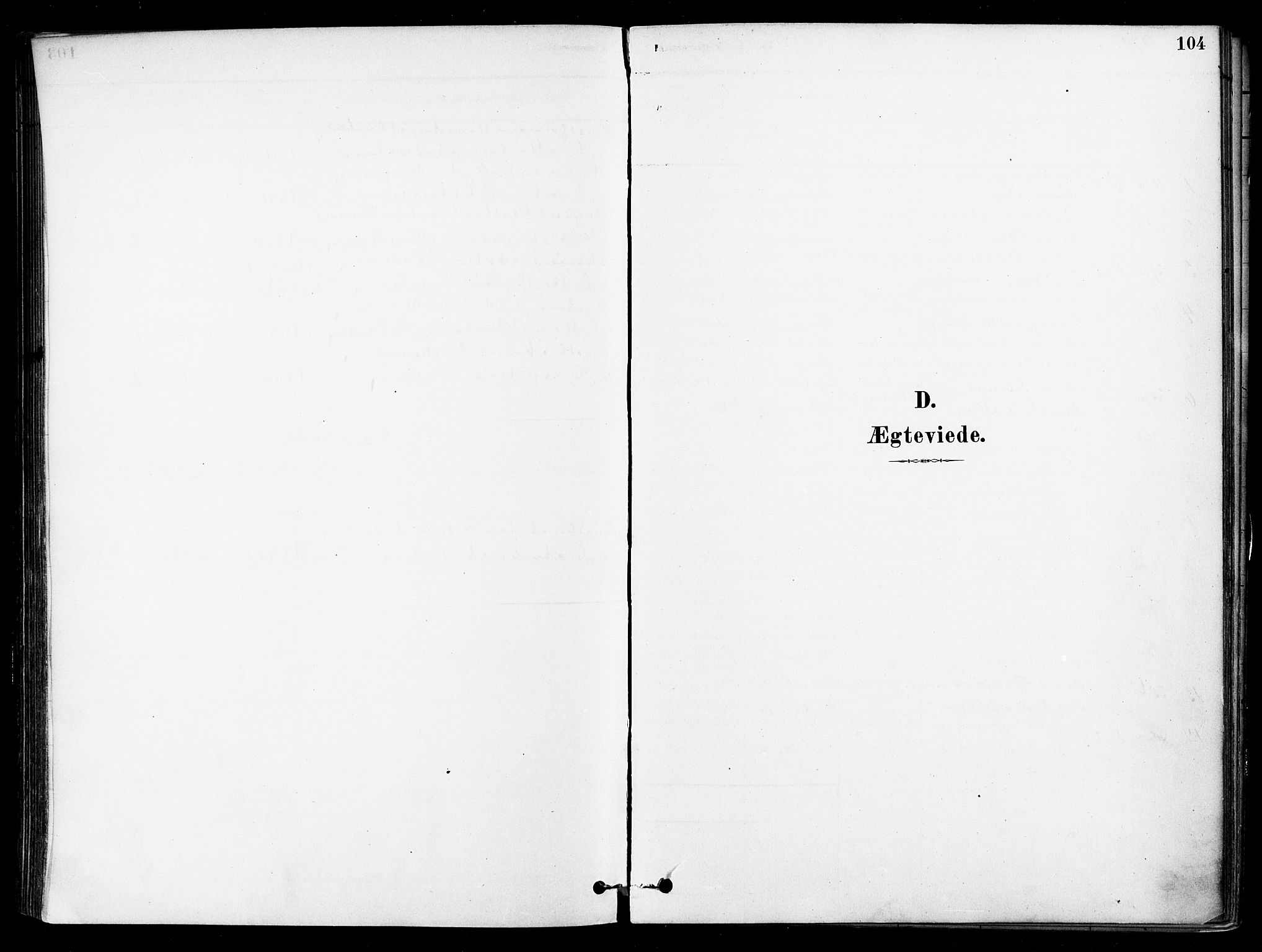 Asker prestekontor Kirkebøker, SAO/A-10256a/F/Fb/L0002: Parish register (official) no. II 2, 1879-1921, p. 104