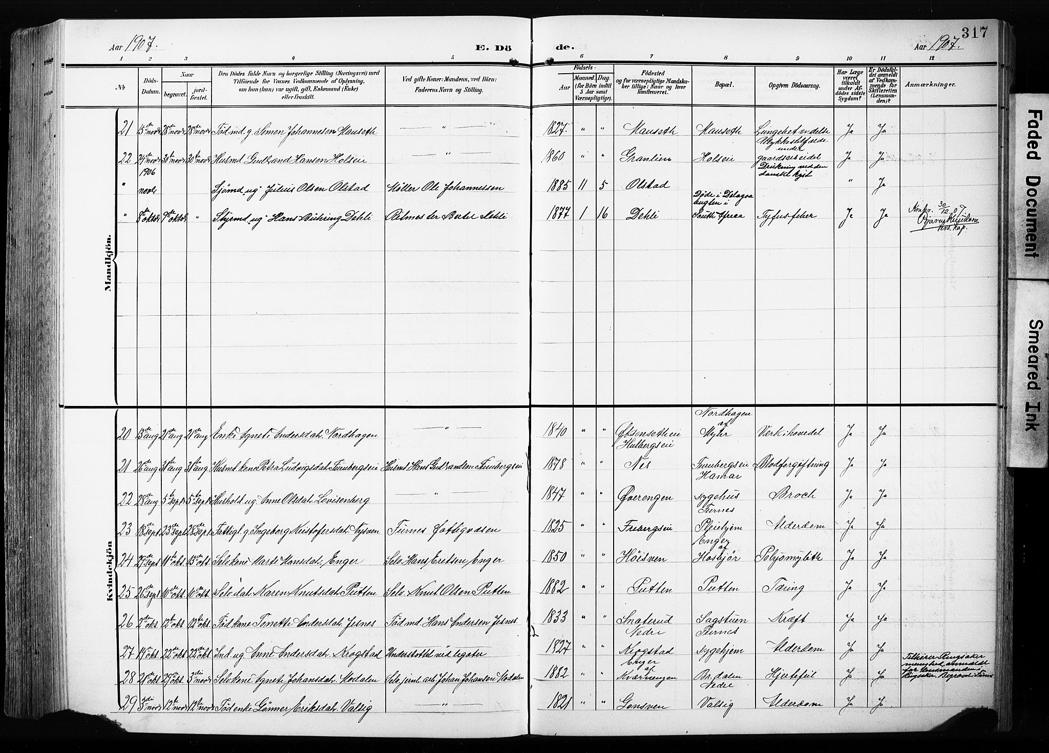Furnes prestekontor, SAH/PREST-012/L/La/L0001: Parish register (copy) no. 1, 1904-1933, p. 317