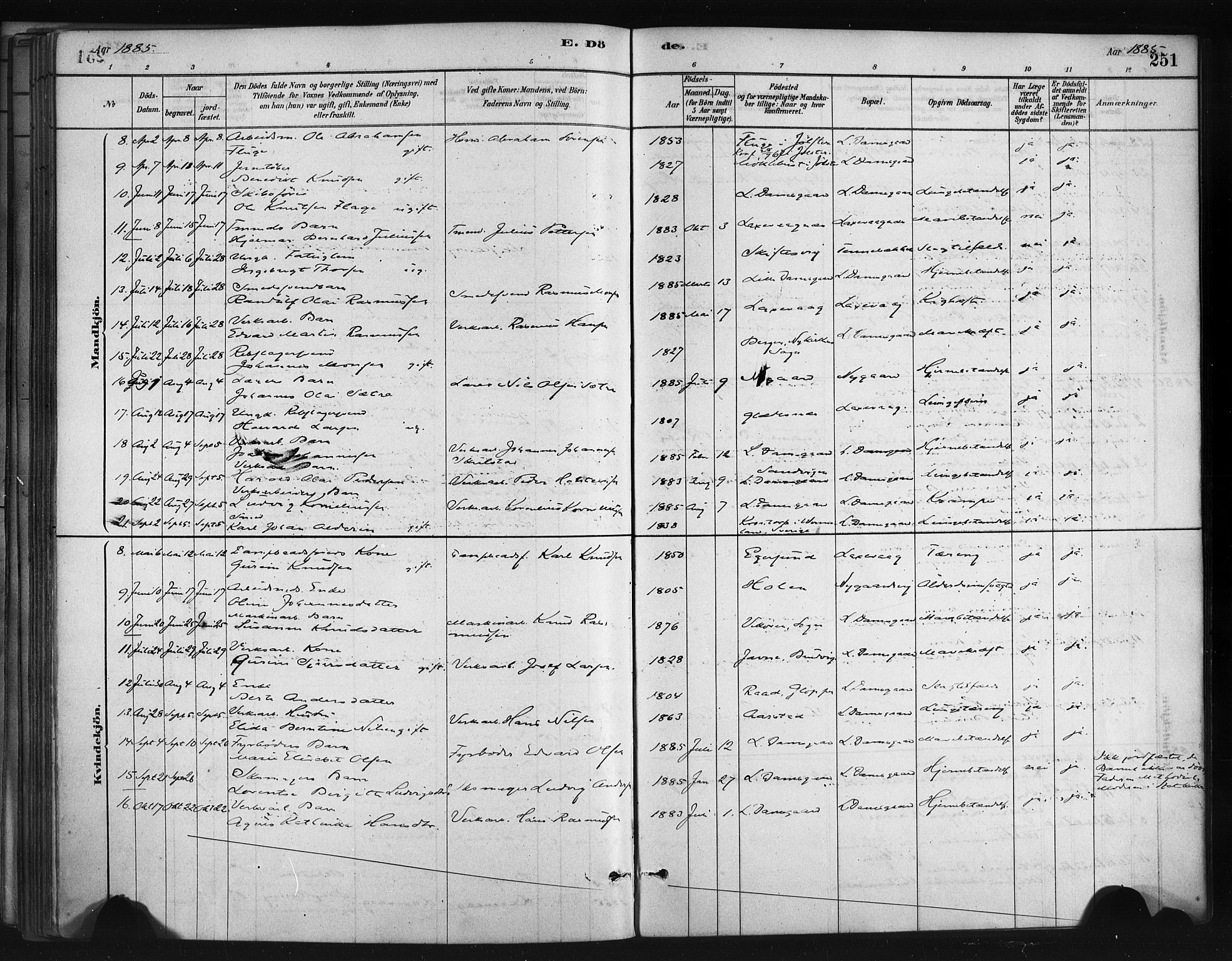 Askøy Sokneprestembete, AV/SAB-A-74101/H/Ha/Haa/Haae/L0002: Parish register (official) no. E 2, 1878-1891, p. 251