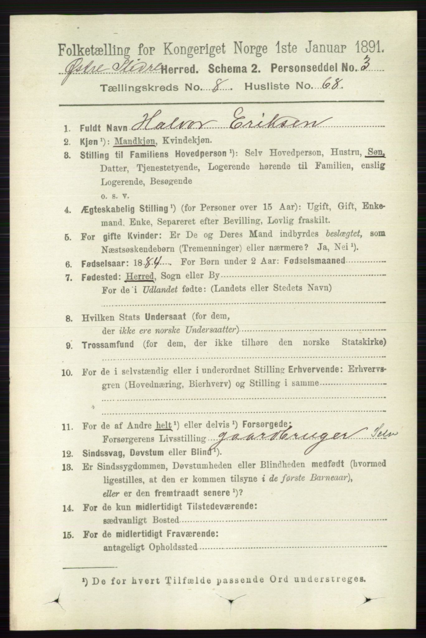 RA, 1891 census for 0544 Øystre Slidre, 1891, p. 2917