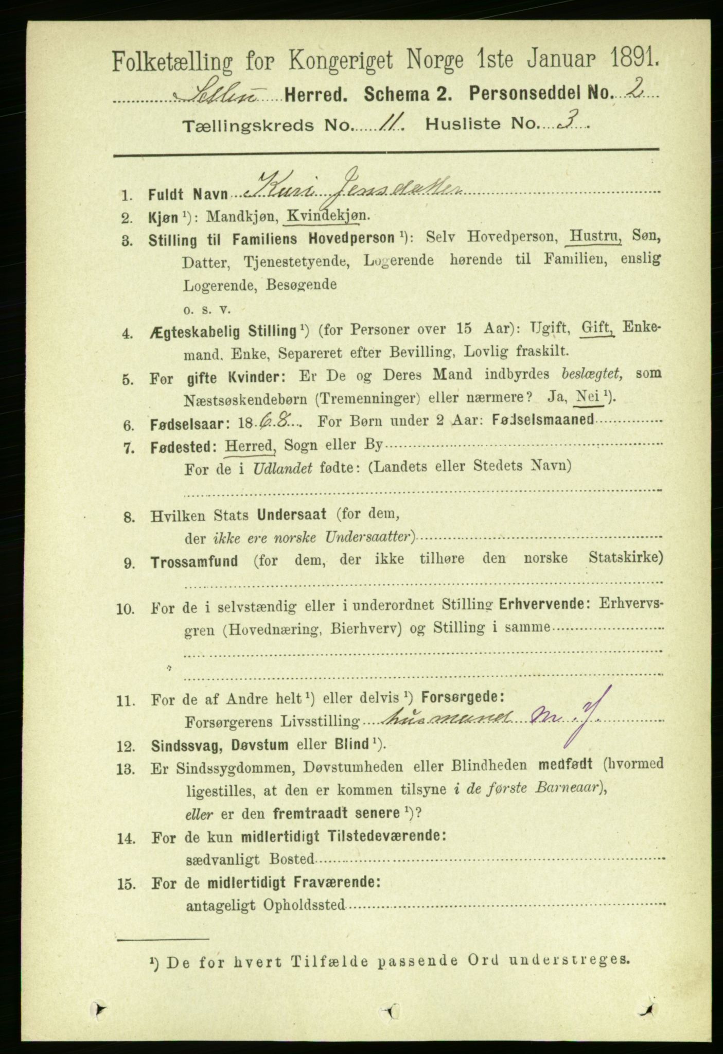 RA, 1891 census for 1664 Selbu, 1891, p. 4007