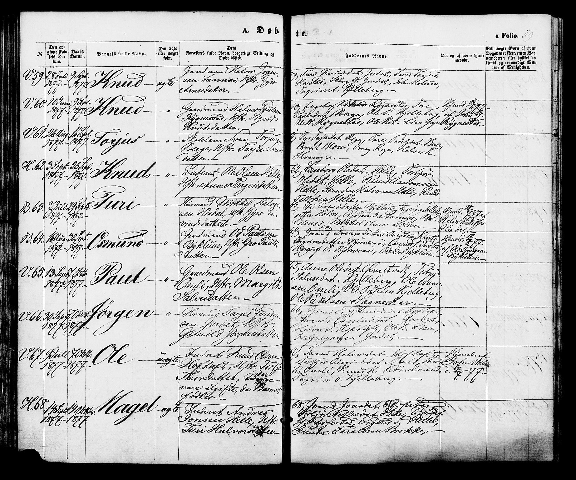 Valle sokneprestkontor, SAK/1111-0044/F/Fa/Fac/L0008: Parish register (official) no. A 8, 1868-1882, p. 59