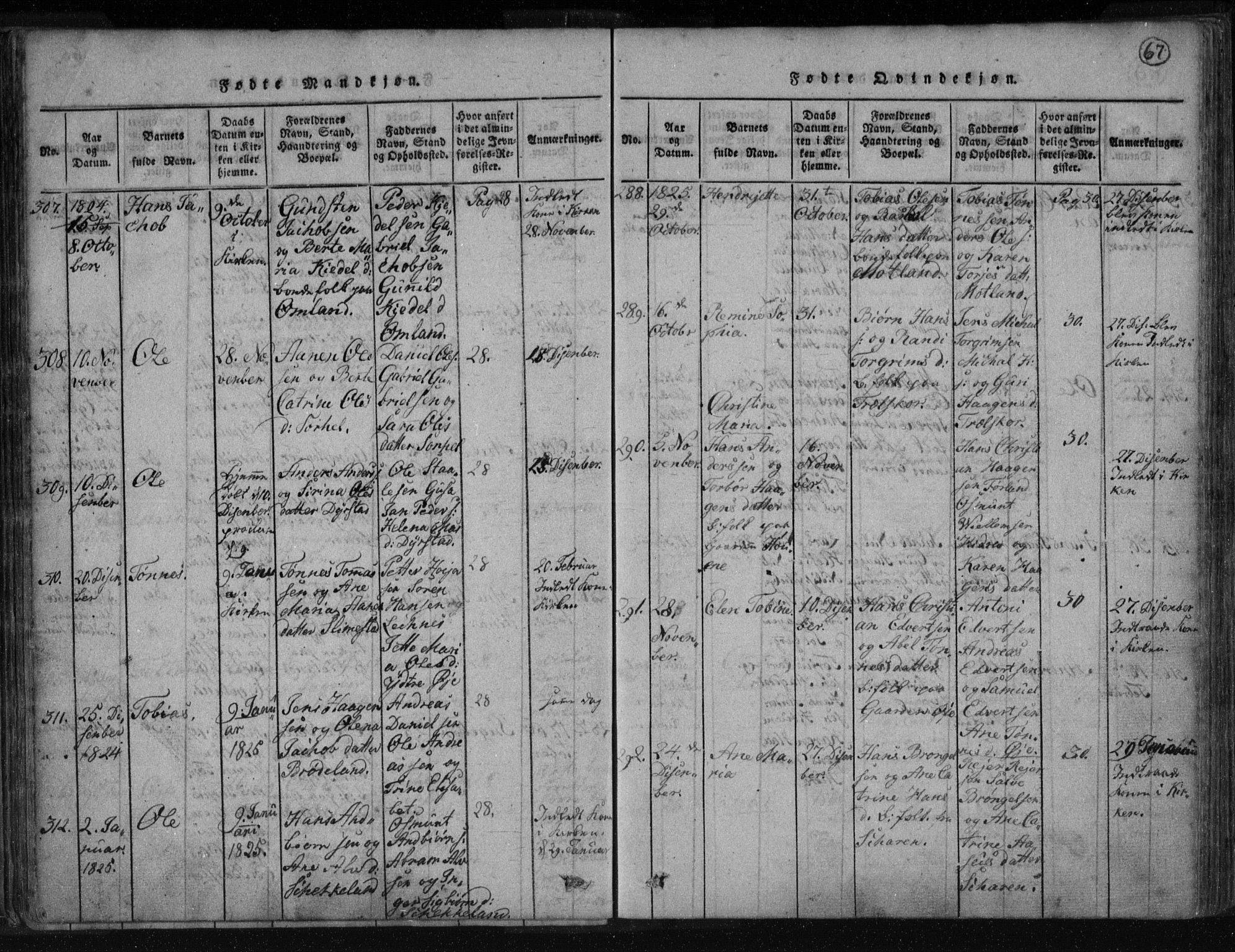 Kvinesdal sokneprestkontor, AV/SAK-1111-0026/F/Fa/Fab/L0003: Parish register (official) no. A 3, 1815-1829, p. 67