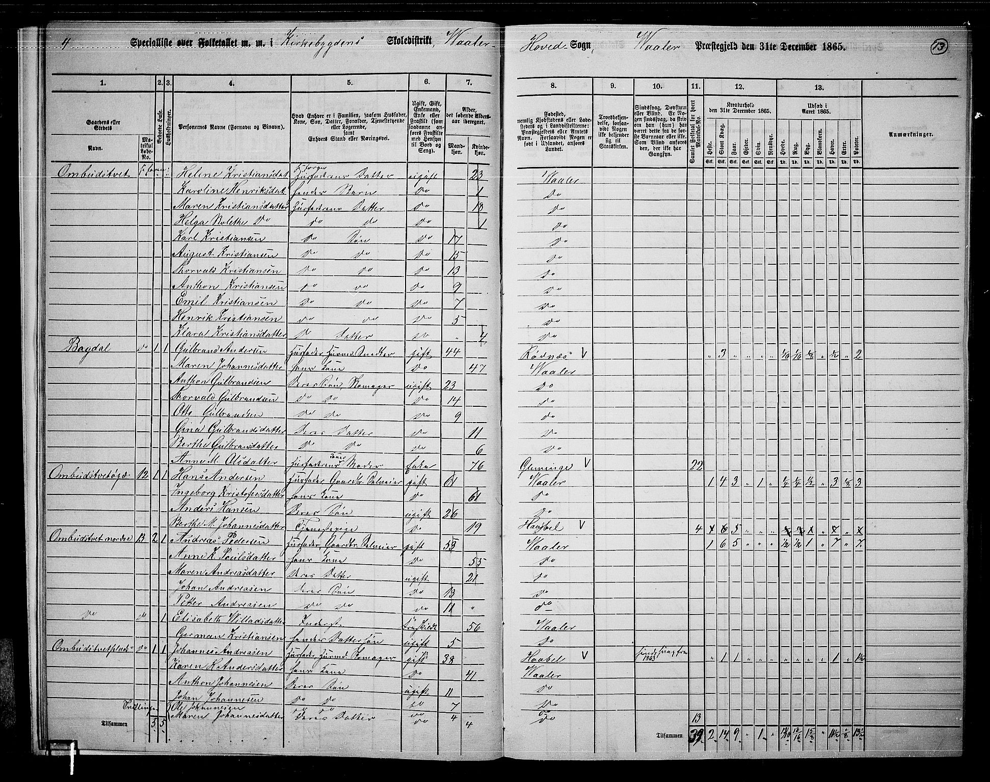 RA, 1865 census for Våler, 1865, p. 14