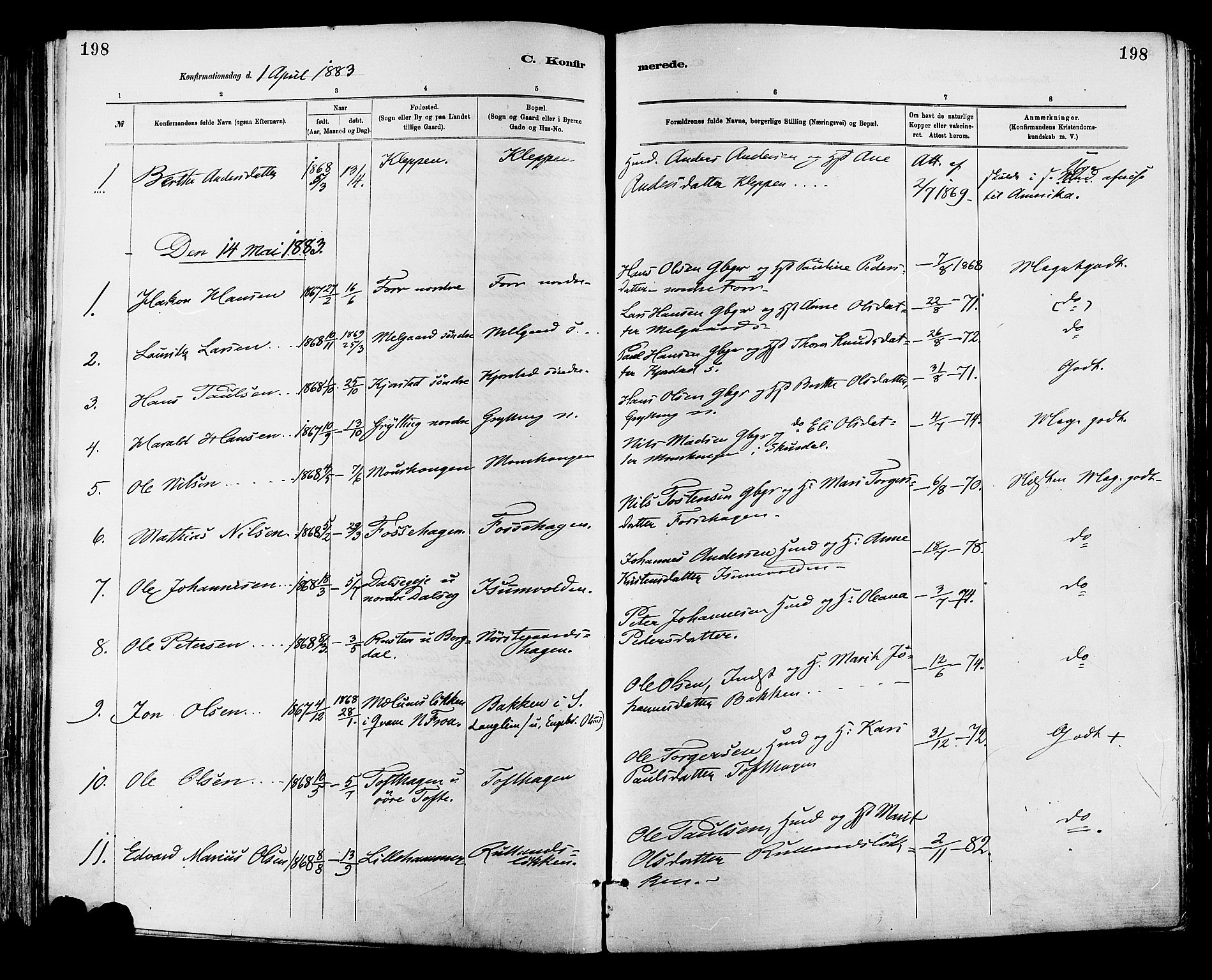 Sør-Fron prestekontor, AV/SAH-PREST-010/H/Ha/Haa/L0003: Parish register (official) no. 3, 1881-1897, p. 198