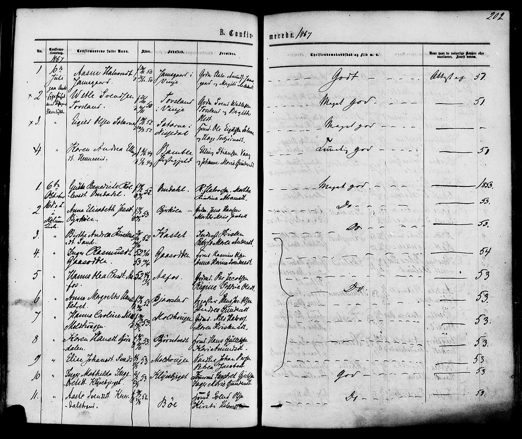 Solum kirkebøker, AV/SAKO-A-306/F/Fa/L0008: Parish register (official) no. I 8, 1865-1876, p. 202