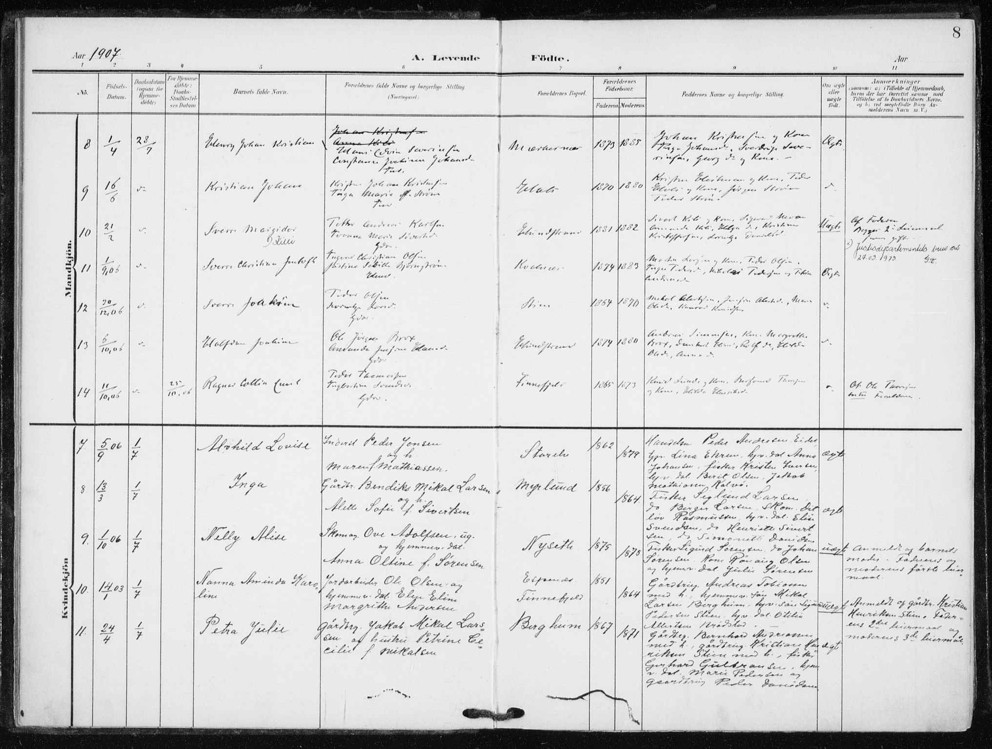 Tranøy sokneprestkontor, SATØ/S-1313/I/Ia/Iaa/L0013kirke: Parish register (official) no. 13, 1905-1922, p. 8