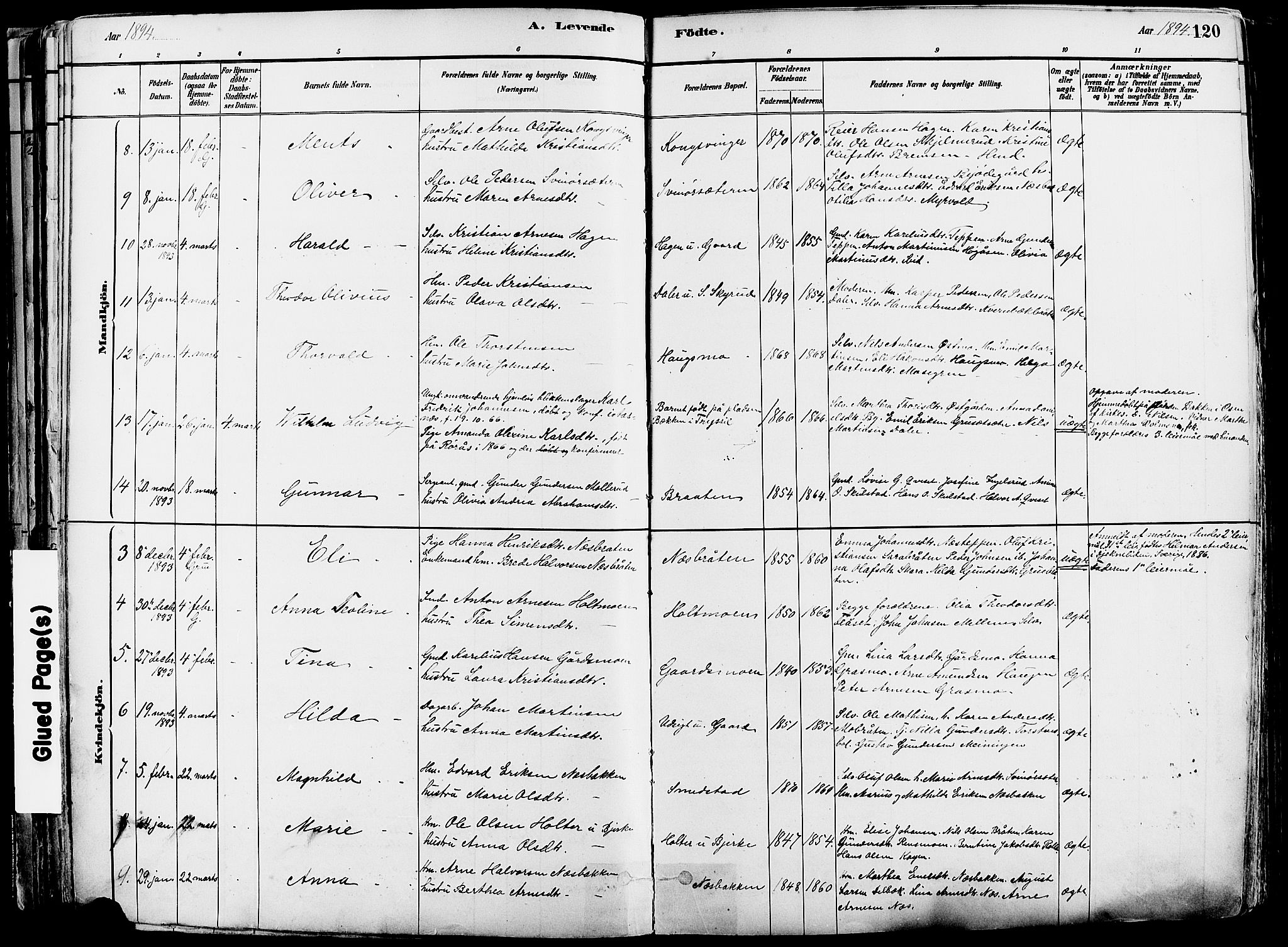 Grue prestekontor, AV/SAH-PREST-036/H/Ha/Haa/L0012: Parish register (official) no. 12, 1881-1897, p. 120